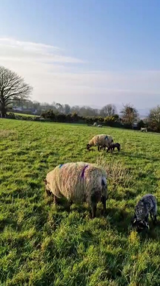 Monday morning 10 March