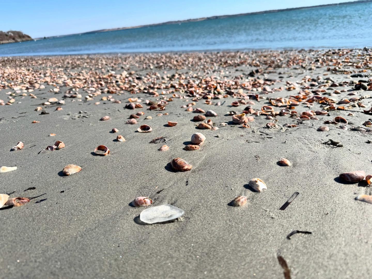 This chunky sea glass was such a joy to find. Love walking the beach and chatting to my spirit team.
