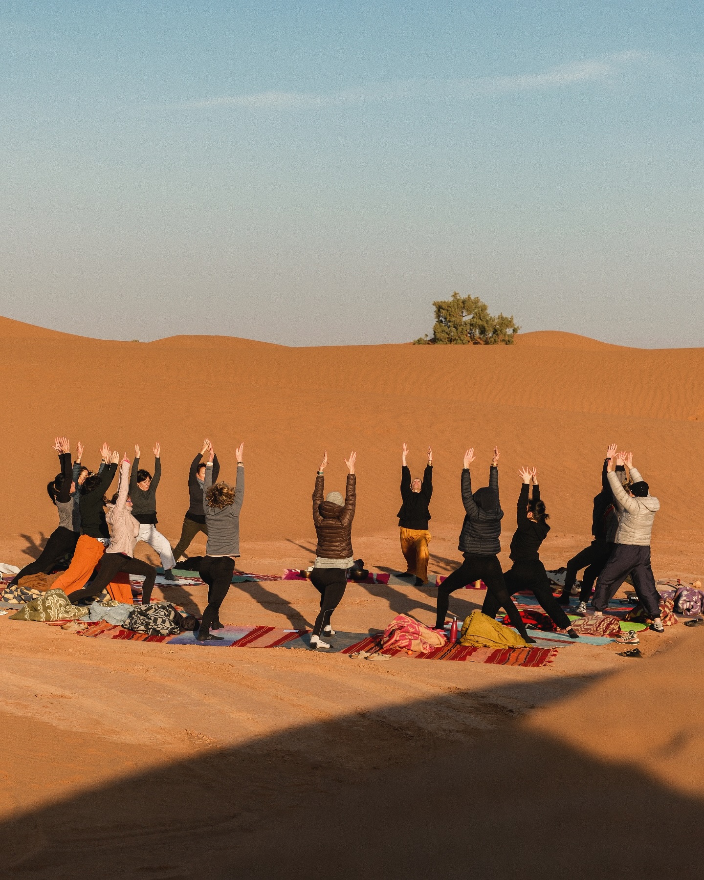 Somewhere between dreams and daybreak, on the edge of the Sahara.
Watching these souls move in harmony with the rising sun reminded me why I choose to document these moments. No perfect poses needed - just pure presence, connection, and the raw beauty of practice meeting nature.
This is what yoga retreats are made of: colorful mats against ancient sands, collective breath rising with the dawn, and stories written in shadows across the dunes.
Capturing the quiet magic of these mornings is what makes my heart sing. ✨
~
Dans la douceur du matin, le désert nous accueille.
Un moment suspendu dans le temps où nos tapis colorés se déploient sur le sable doré. Ensemble, nous saluons l’aube, nos mouvements aussi fluides que les dunes qui nous entourent.
C’est dans ces instants de simplicité que la magie opère. Pas besoin de plus - juste le souffle, le sable, et le ciel qui s’éveille. 🌞