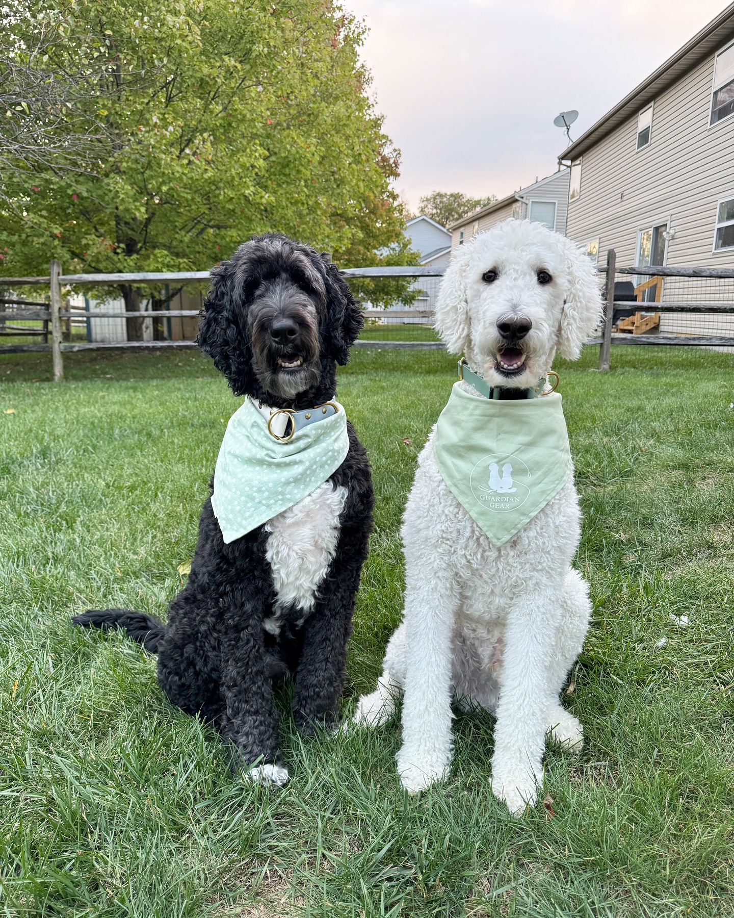 Guardian Gear is now open!!!
We are so excited to continue providing everyone with high quality gear again and can’t wait to see what you pick out from the shop. As always, reach out if you have any questions or want help picking out colors 🥰