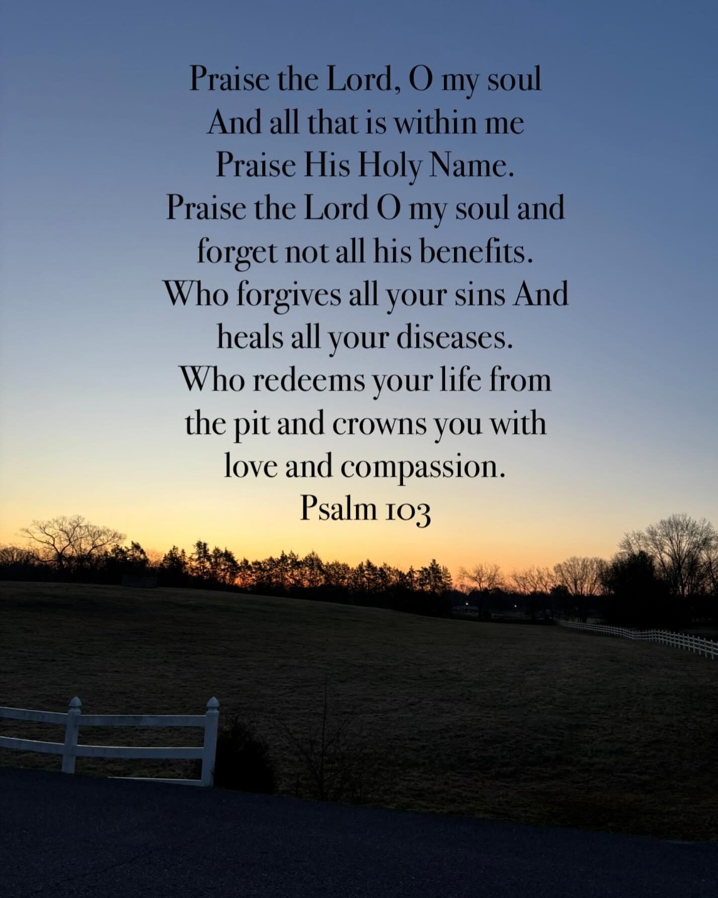 The Psalms calms. Soothes. Restores the soul.
