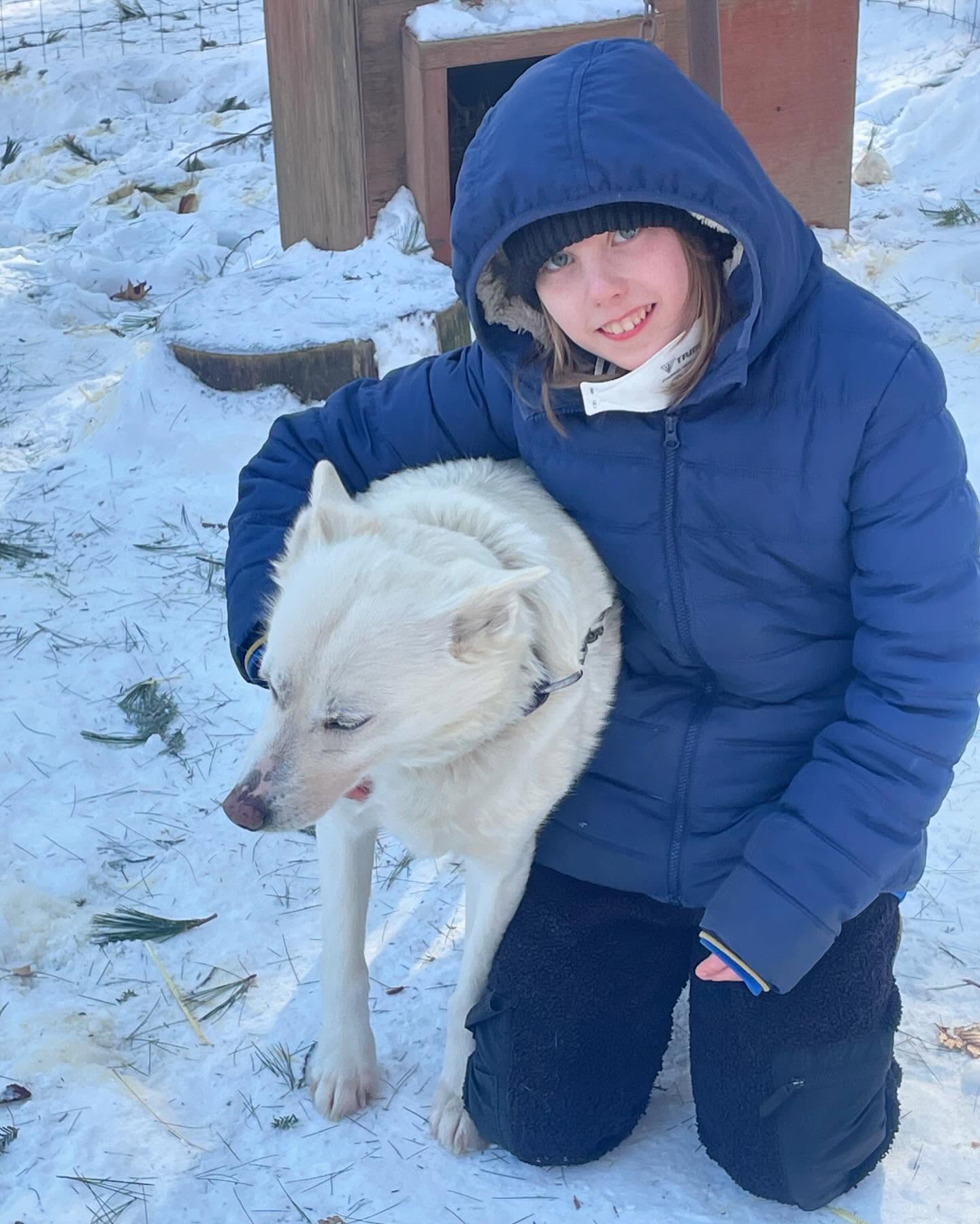 SLED DOG CAMPS! Vacation Day 4/24 coming up & SUMMER❗️❤️🐶 www.hilltownsleddogs.com #hilltownsleddogs #camps #vacationcamp #summercamps #sleddogsofinstagram #sleddogs #alaskanhusky #lovemydogs