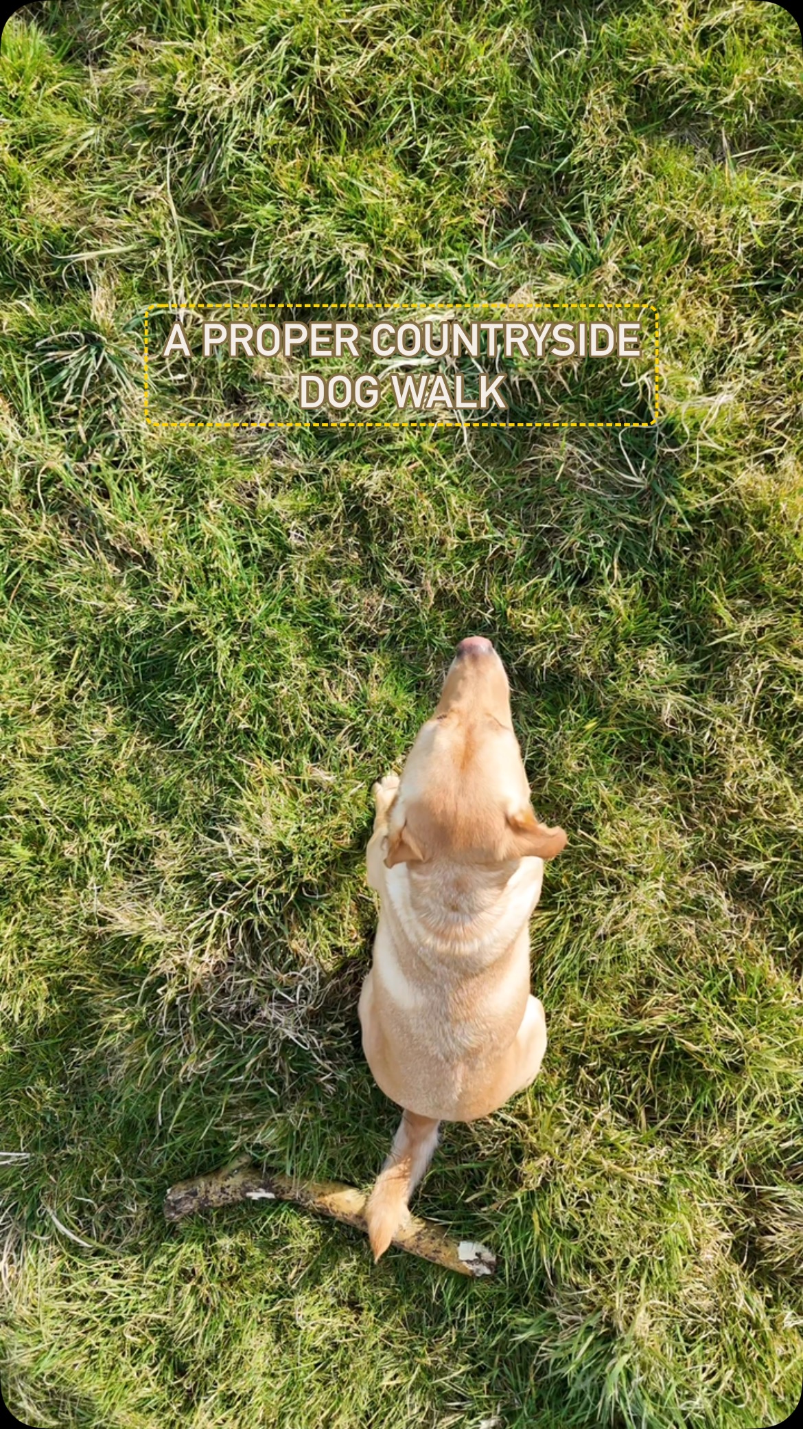 I love how much unspoilt countryside covers the Cotswolds. If you’re looking for a remote and scenic walk check out these top 5 here ⬇️.
.
1️⃣Nether Westcote to Bledington. Try @kingsheadinnbledington for refreshments.
2️⃣Belas Knap. If you have the energy afterwards take a stroll through @sudeleycastle gardens.
3️⃣Aldsworth to Lodge Park. The park has a grand house with stunning architecture for photo ops.
4️⃣Temple Guiting to Ford. An excellent route for checking out the gallos @jonjooneillracingclub.
5️⃣Wychwood forest. This ancient forest really does feel like you have travelled back in time and is dotted with nature reserves to spot lots of wildlife.
#cotswolds #cotswoldlife #walkingholiday #hiddengems #bestwalks #wheretowalk #cotswoldwalks #historicplaces #getoutdoors #countryside #walkingviews