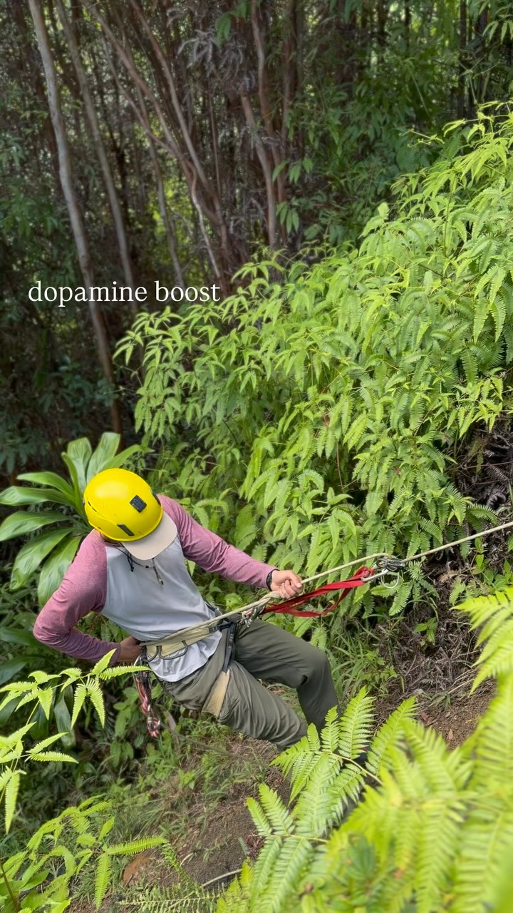 Waterfall rappelling tour offerings for this spring/summer!
@kulaniapia_falls 120ft drop-starting at $199 ($249 includes Kulaniapia falls daypass), Ages 10+
@theumaumaexperience Waterfall rappel and river tour
Starting at $399 ages 10+. Dive in, wetsuits provided!
Full day private tours! Custom built adventure days, multiple waterfalls, multiple locations. Starting at $999. Ages 5+.
Helicopter Canyoneering with @rainbowhelicopters
Custom adventures, from rugged canyons to waterfall hikes, multi course lunches crafted by private chefs. Call for quote
Islandmountainguides.com
📍Hilo, Hawaii
+1(808)515-7171
#waterfallrappelling #kulaniapiafalls #hawaiiwaterfalls #waterfalladventure #helicanyoneering #adventuretours