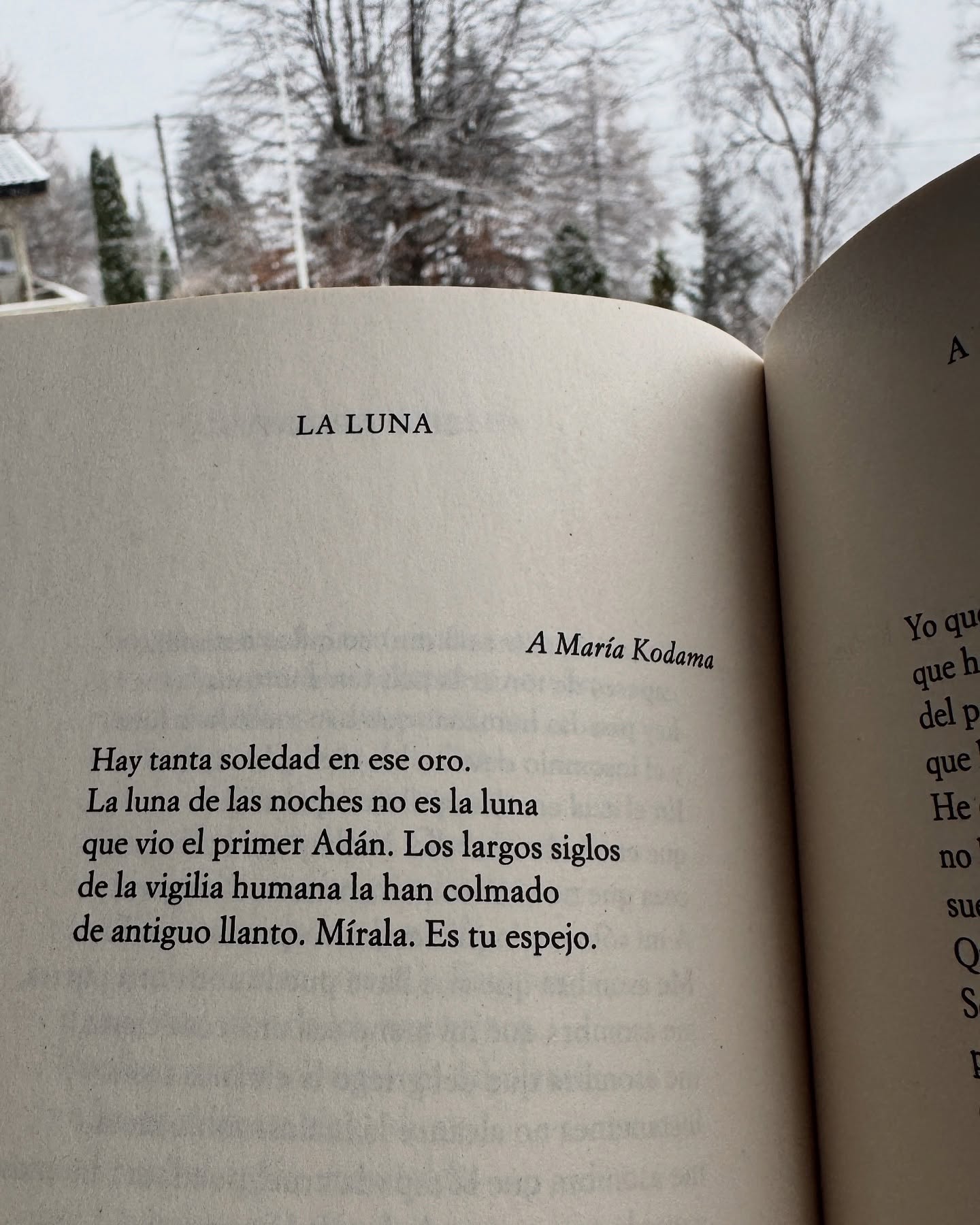 Poema de Jorge Luis Borges.
#Poesía #borges #Fundaciónalambiqueparalapoesía