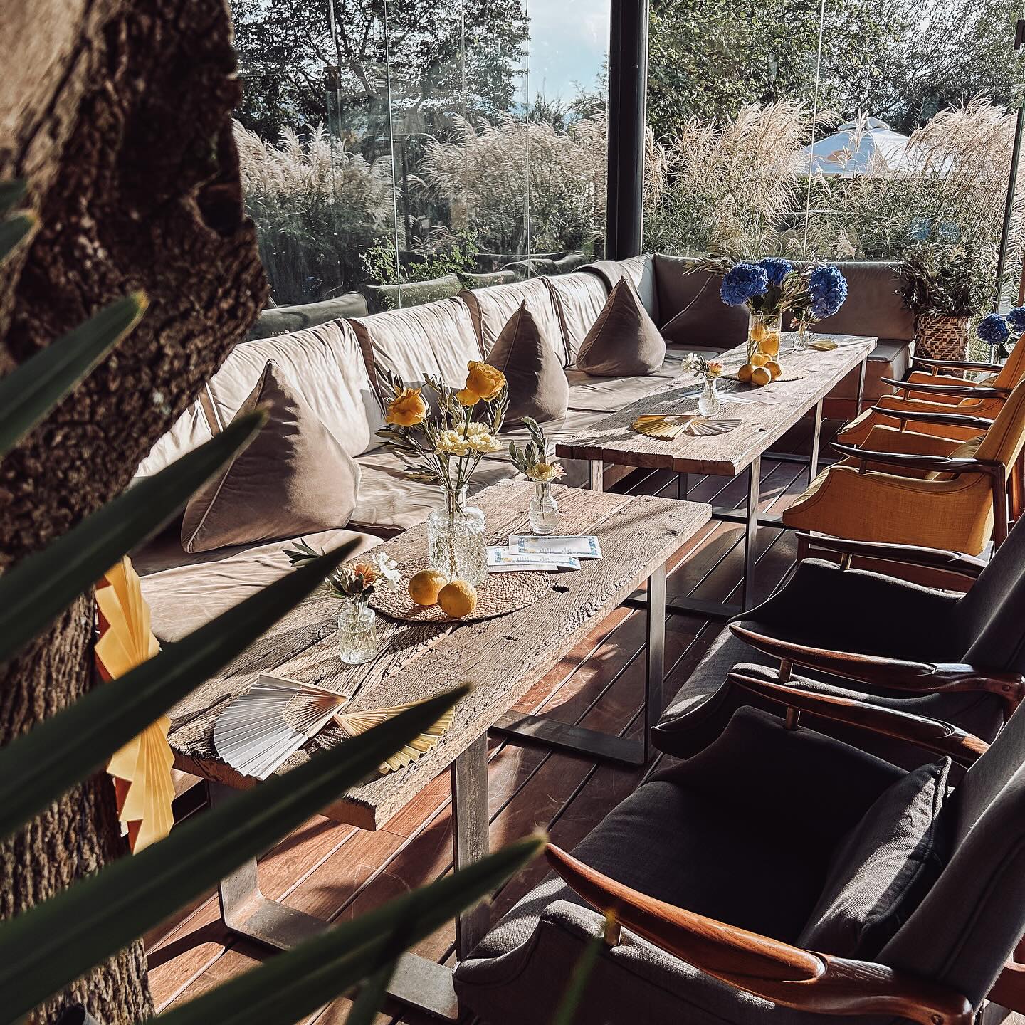 Ihr braucht Inspiration und Deko für ein Sommerfest oder Business Event? Perfekt abgestimmt auf euer Motto oder das Brand Design? Schreibt mir gerne, dann helfe ich euch gerne bei der Planung und Umsetzung, um ein einzigartiges Event zu kreieren. 🙌🏻🤩
Event Dekoration @wild.knots.art im @hotel_gerl zum Thema „La Vie Est Belle“. 🍋🍸