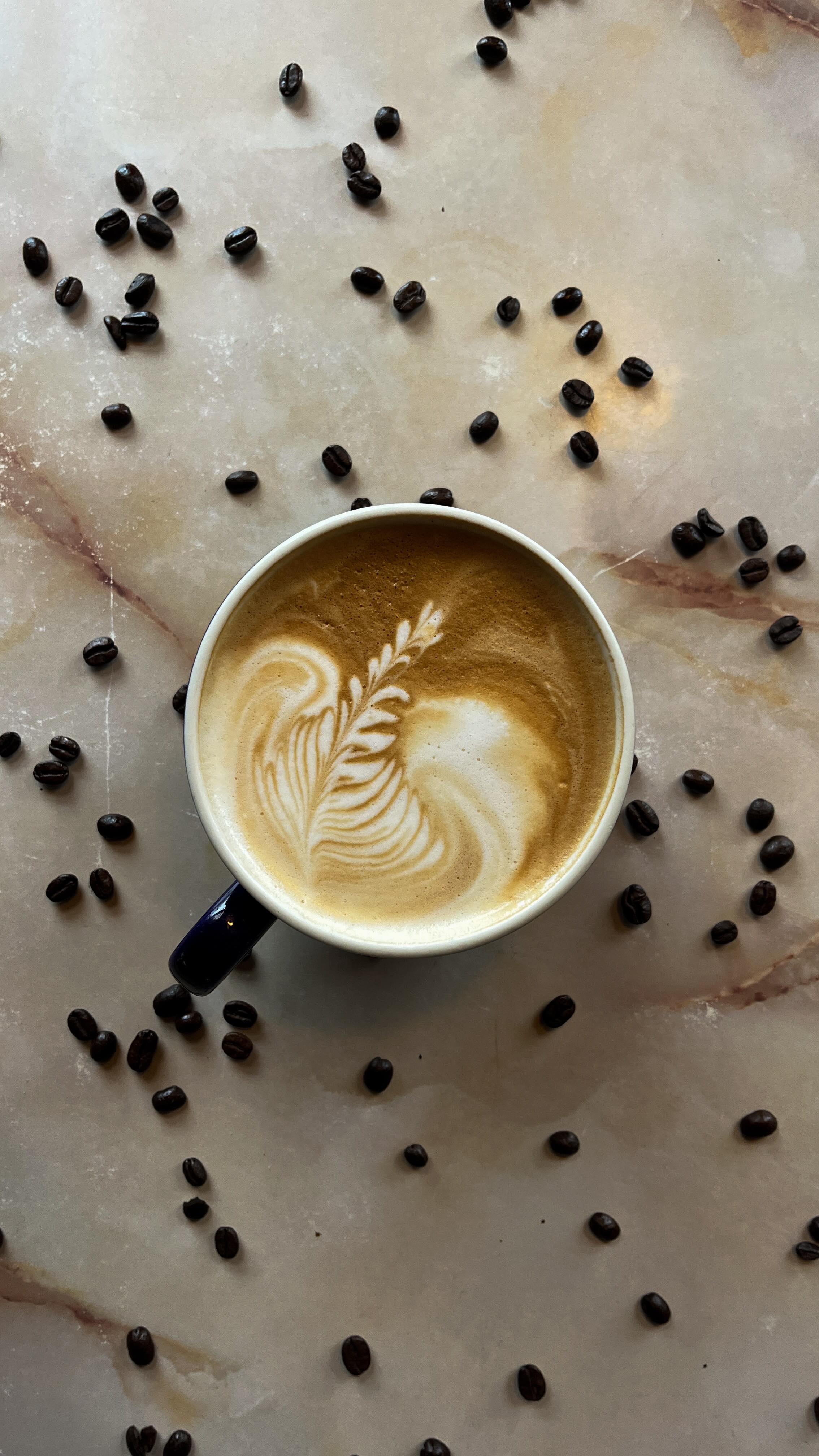 Might as-well make the mess bigger 🤷♀️
•
•
In video - @gaia.bachar @moon.unit9
•
•
•
•
•
#foodservice #serving #coffeeshop #coffeeshoplife #colorado #tantrum#freedrink #vibes #flowspace #localcoffeeshop #smallbusiness