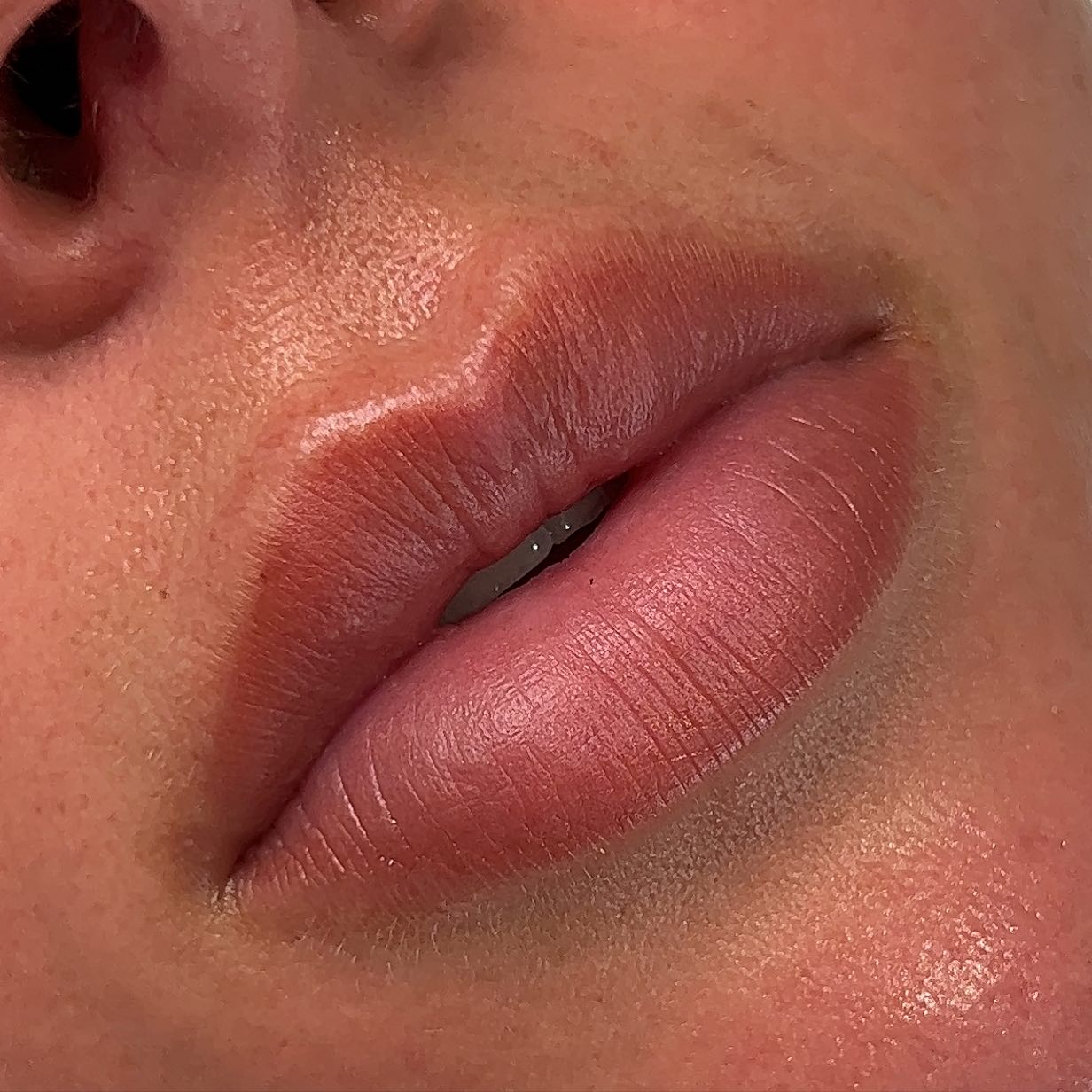 LIPS 💋 how gorgeous are these lips which I did a couple of years ago… still going strong. We concentrated on edges and blending slightly into the lip. Perfection 😍