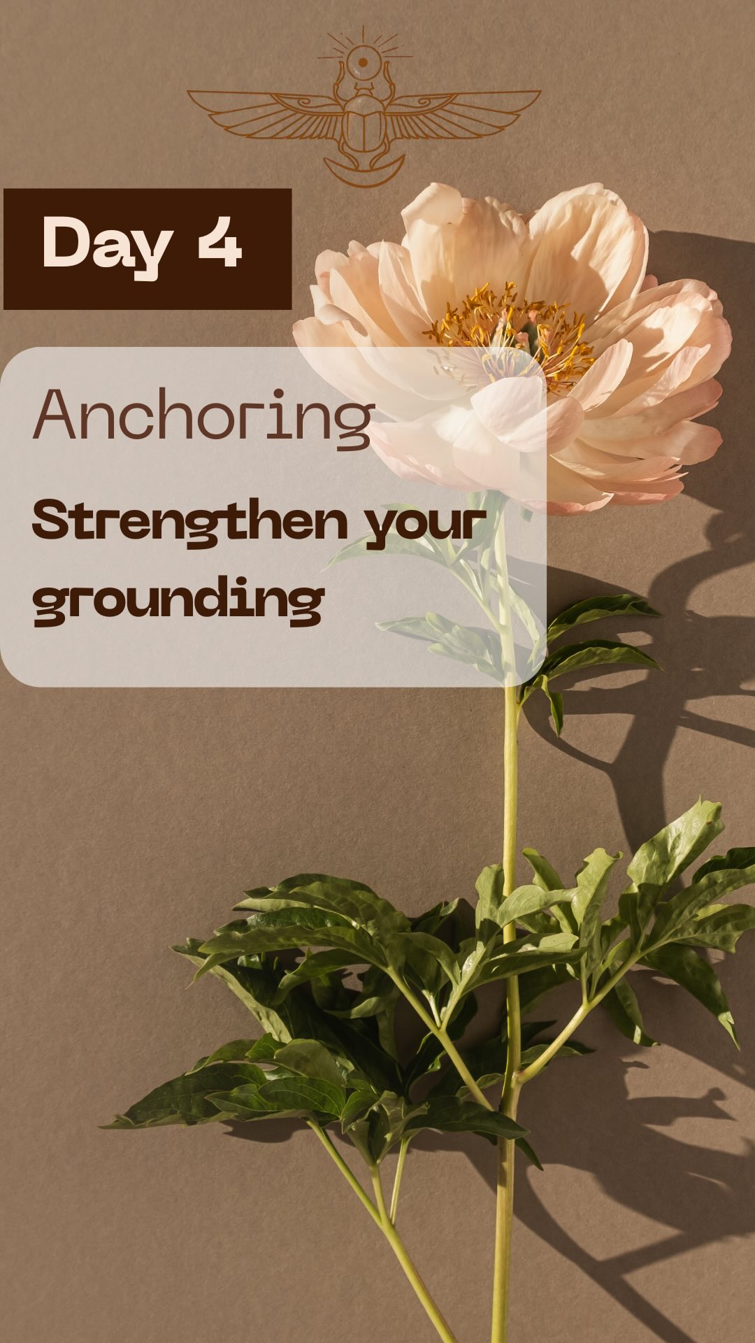 DAY 5 : Anchoring: strengthen your grounding.
This pause moment is more dynamic it actively involves the body to soothe the mind. They are squats, small movements.
Place yourself to the north, it removes energy blockages at the level of the basin and reeds and allows better circulation of the prana, returning to anchoring is an important notion because it soothes all the external hubbub and that the outside world does not influence our state of being inside.
The exercise itself is simple, but when you do it in awareness it is very effective, you can even imagine your head in your pelvis. It may seem strange, but it immediately brings the mental energy back down in the earth by allowing us to refocus on the moment. This improves concentration, reduces daily stress, returns to the present, feels confident where you are without looking elsewhere, around, towards the past or the future.
At the end of the squats facing North Imagine your bain is in your feet. It is weird but it works! Give it a try!
#innerpeace #anchor #groundingtechniques #groundingenergy #takeabreak #moveyourbodyeveryday #challenge21days