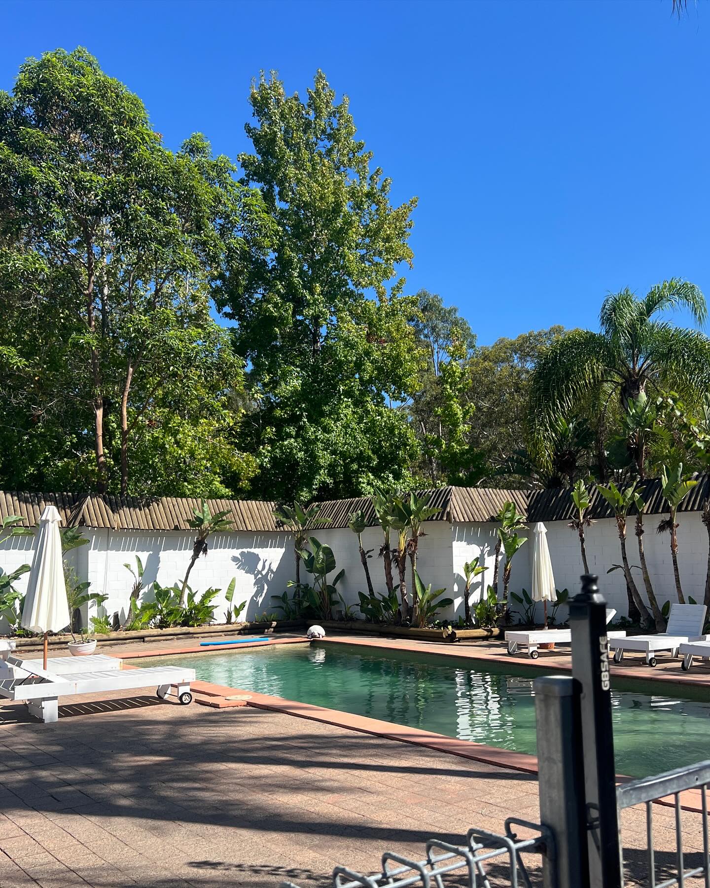 So far so good ☀️ I love the people and environment — tons of movement and play time.
There’s tennis courts and a volleyball court that I’ve yet to partake in but will soon. Plus all of the amenities like the gym, pool and steam room are available to use anytime you’re not working 😃
Some of the volunteers also offer classes, so I’ve taken a dance class, yogalates (yoga/pilates), and tonight there is a guided meditation! So nice.
💗