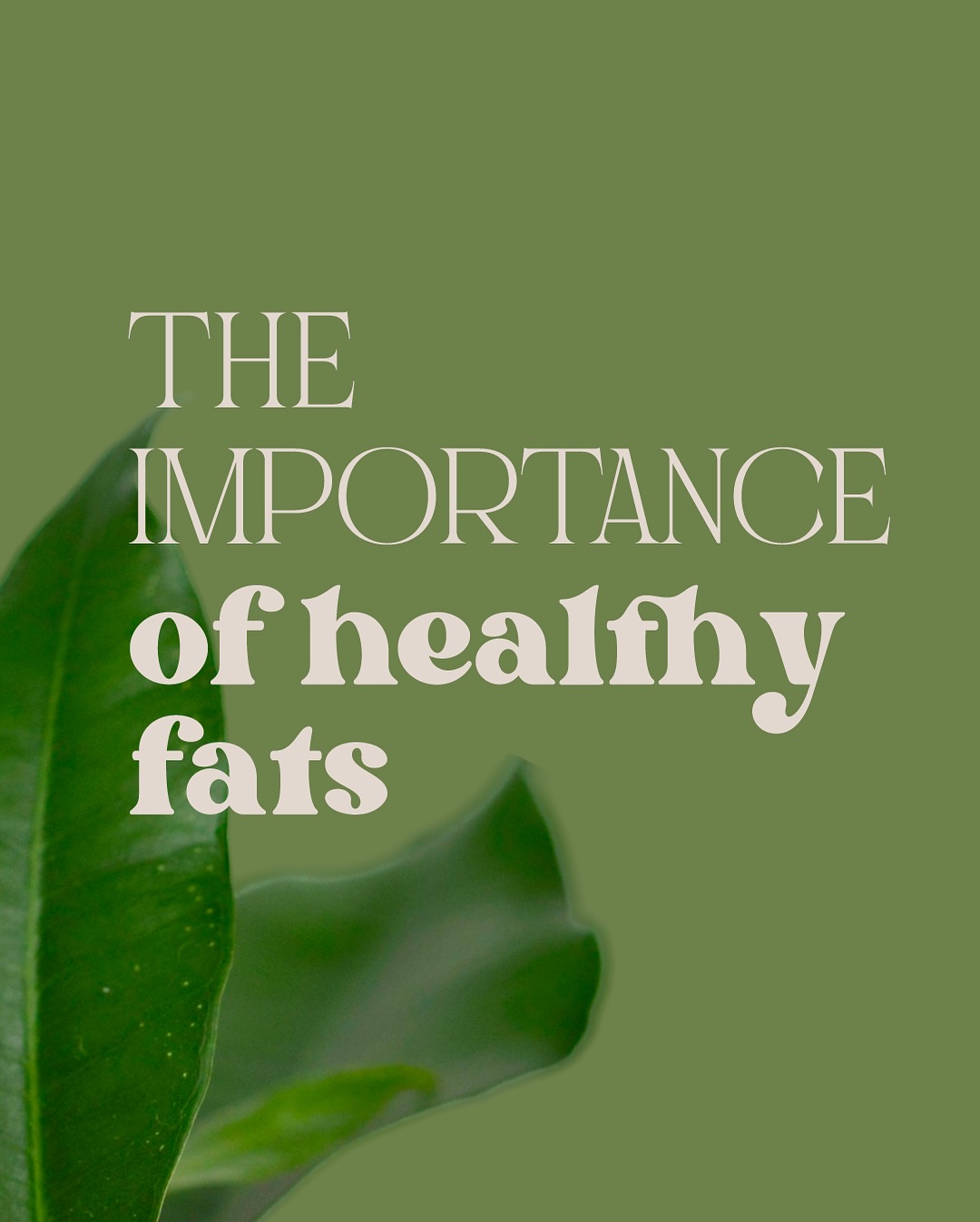 The Importance of Healthy Fats 🥑
Your body NEEDS fat postpartum! It helps regulate hormones, support brain function, and rebuild tissues. Load up on:
🧈 Ghee & butter
🥥 Coconut oil
🥑 Avocados
🐟 Salmon
.
.
.
#postpartum #postpartumnutrition #postpartumfitness