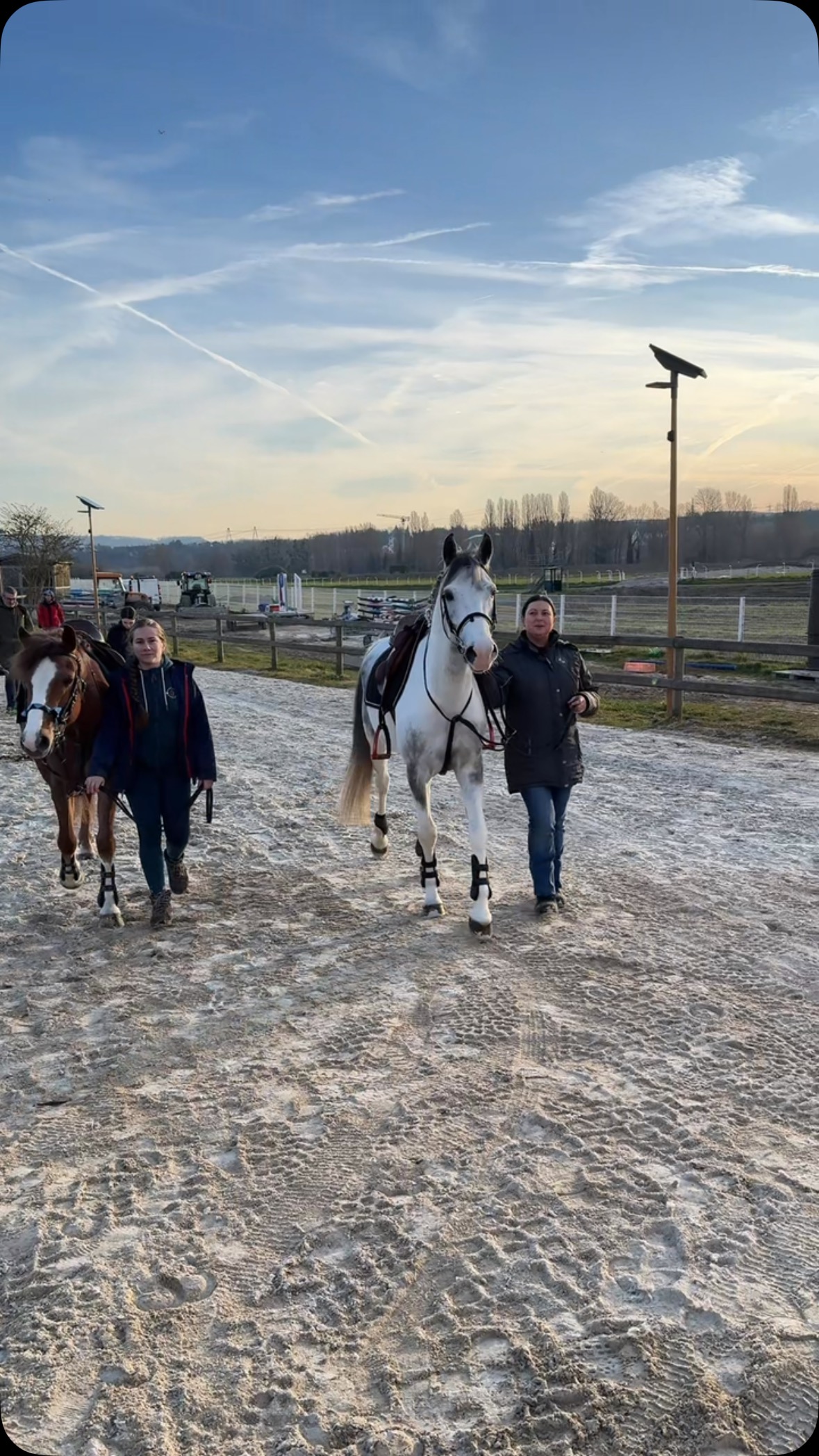 ✴️ Dimanche 9 mars, les équipes CSO ont brillé au poney-club du Parc à Maisons-Laffitte :
🎖️Club 4 : 4è Marie et INVICTO ss faute pour sa 1ere sortie en concours.
🥈🥉 Club 3 : 2è Anna et ADIBOU, 3è Coline et SOMERSBY
🥈 Club 2 : 2è Anna et ADIBOU, 5è Coline et SOMERSBY
🏅Club 1 : 4è Cyriel et APPOLLON
🏆🥇Club Elite : 1er Cyriel et APPOLLON (seul ds faute)
🏆🥇Poney 2 : 1er Lyna et FITHTY
🎖️Poney 3 (67 partants) : 5è Lyna et FITHTY, 6è Lila et VOLCANO, 10è Camille et FFITHTY, 11è Emma et JALAN, 14è Camille et IPPIE.
🥈P3B : 2è Lahna et TWIST, 4è Alma et TWIST
🥈🥉P4 : 2è Ambre et TOKE, 3è Margaux V. et VOLCANO, 6è Diane et TWITTER, 7è Emma et JALAN, 8è Alexis et JEM.
Bravo à tous, et merci aux parents toujours au top 😊