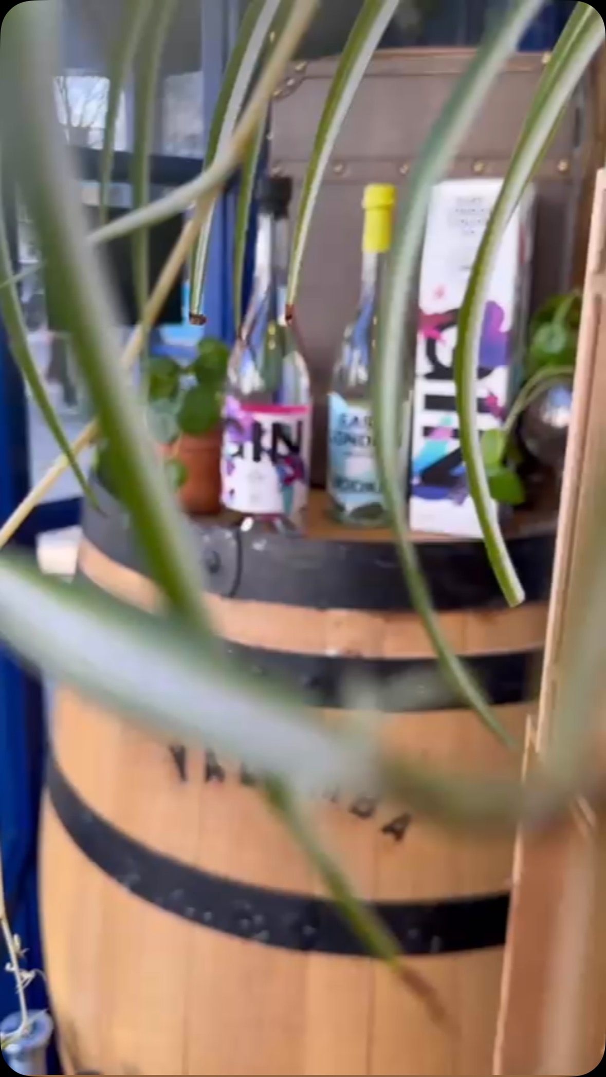 Elegance in every sip 🍷✨ The iconic Tignanello 2020 and the refined Cervaro della Sala 2020—two masterpieces from Antinori, now available at Islington Wine. Whether you prefer a bold red or a sophisticated white, we’ve got something special waiting for you. #FineWine #ItalianWines #Tignanello #Cervaro #islingtonwine