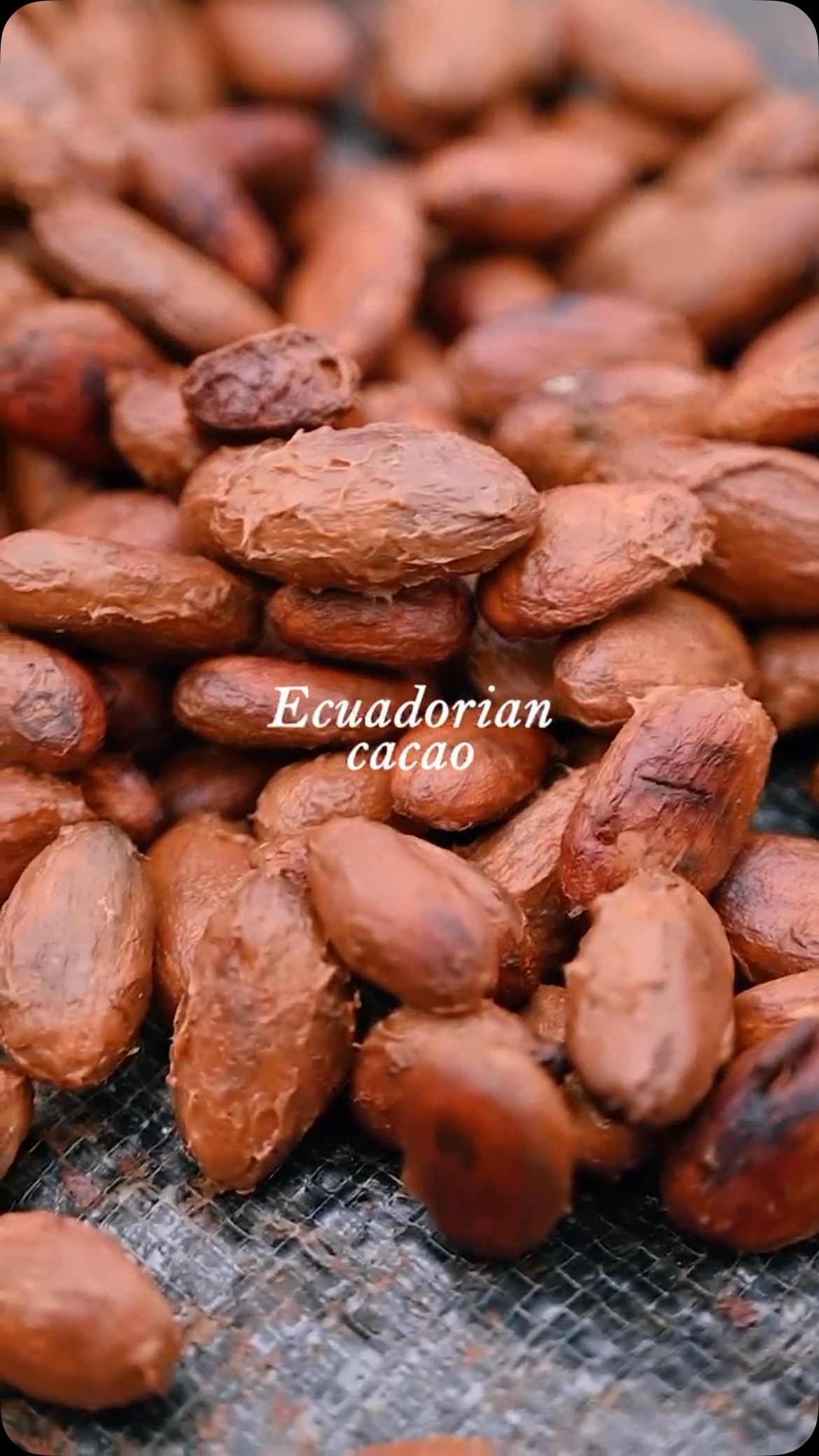 From ancient traditions to global recognition, Ecuadorian cacao tells a story of excellence.🇪🇨🍫✅🌱
Ecuadorian cacao has a rich history that dates back thousands of years, making it one of the world’s most important origins. Revered by ancient civilizations and prized globally today, its unique aroma and flavor continue to set the standard for excellence.
#cacaoecuador #cacaonibs #cacaomass #ecuadoriancacao #ecuador #haciendapalosanto