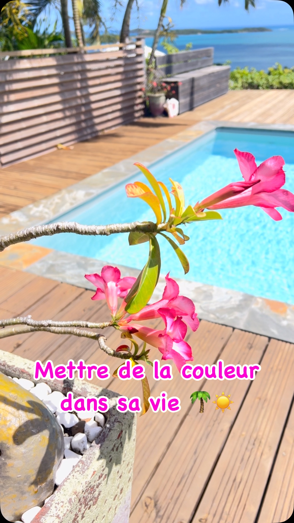 #peinturecolorée #couleurstropicales #veroniquedural #journéedelafemme