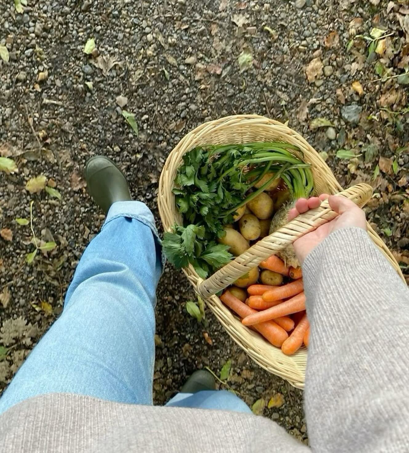 🌱 How much of your food comes straight from the soil? 🌱
Have you ever stopped to think about how much of what you’re eating comes directly from the soil? 🤔
In our fast-paced world, it’s easy to rely on processed or quick meals, but reconnecting with nature through fresh, soil-grown foods has incredible benefits.
Eating closer to nature supports better nutrition, boosts energy, and fosters a deeper connection to our environment!🩵🥦🍉🍠🧅🍅🧺