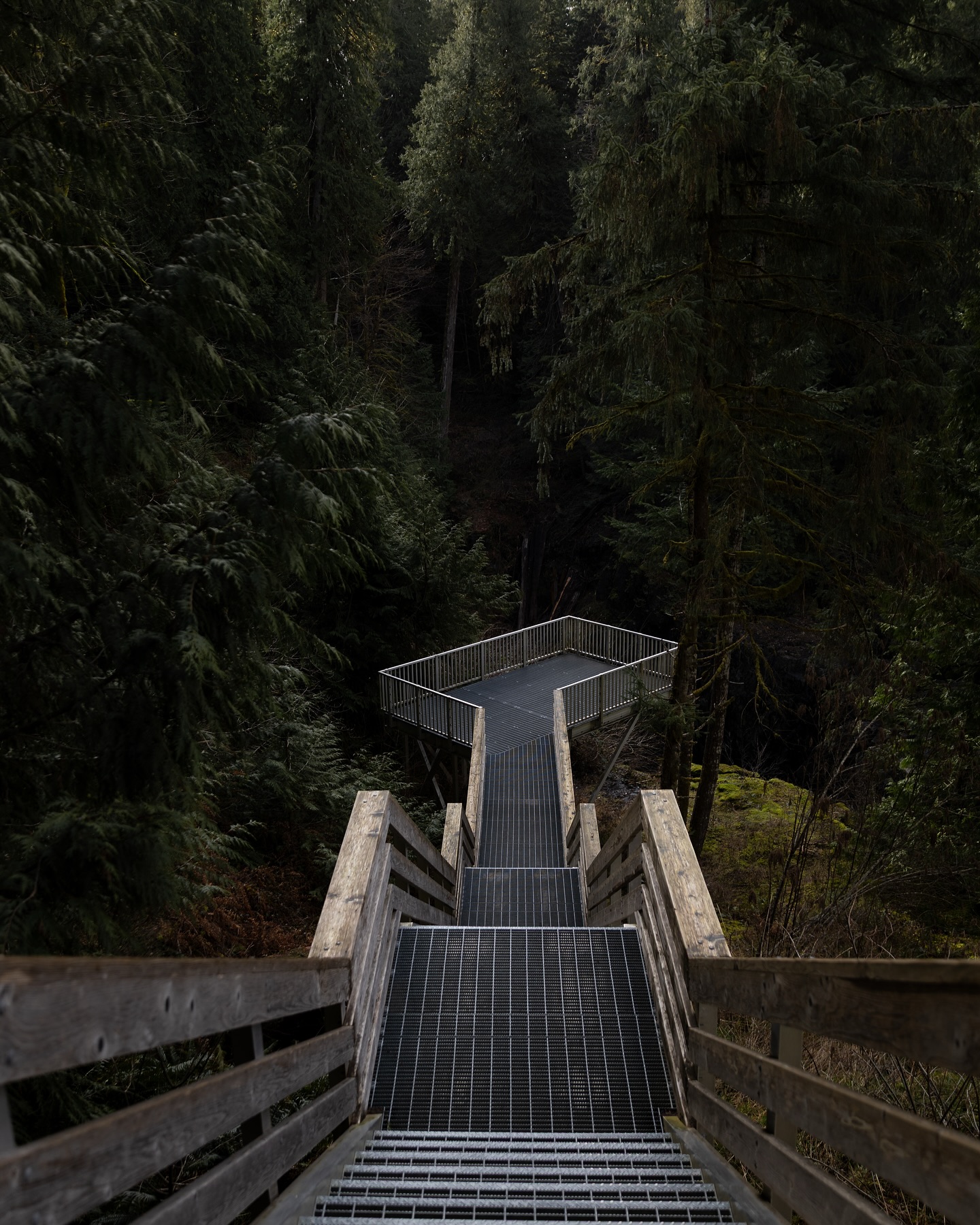 Chasing waterfalls at Elk Falls
Just a short drive from Campbell River, this stunning 25 metre waterfall is a must-see. Hike through a lush forest and take in the view from the viewing platforms or cross the epic suspension bridge to view the waterfall below!
Bonus: if you’re visiting in the fall, you might spot salmon making their journey upstream!
Have you been to Ell Falls yet?