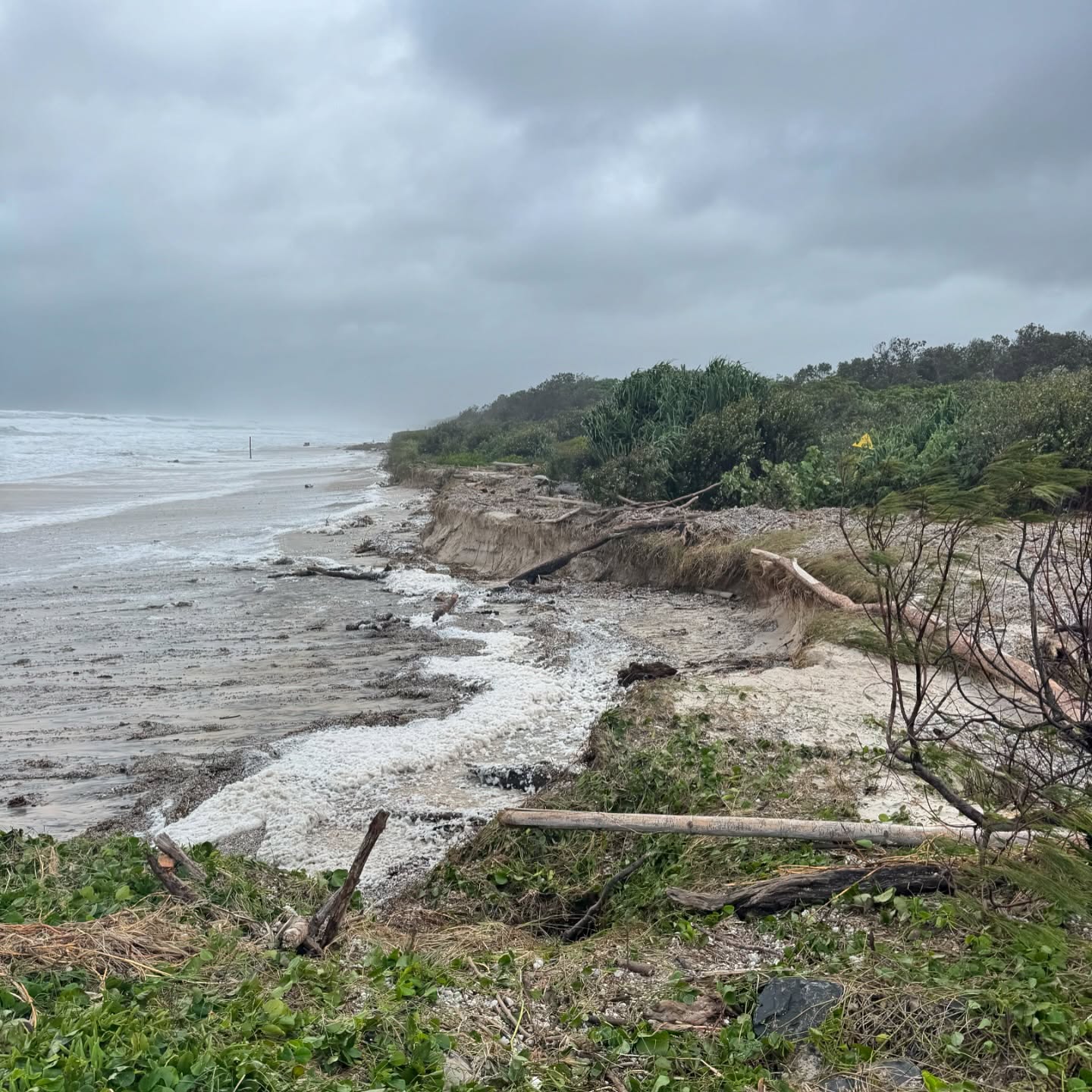 🚨 Still Without Power? Get Back Up and Running Now AND Be Ready for Next Time! 🚨
🌩️ With the recent storms, it’s a reminder that we should always be prepared for power outages. Don’t wait until the next blackout—ensure your home or business stays powered with a changeover switch and generator.
A changeover switch safely connects a generator to your main switchboard, allowing you to switch between mains and generator power with ease.
🔄 Why Install a Changeover Switch?
✅ Easy to Use – Flip the switch and instantly use generator power to keep your home or business running.
✅ Protects Your Home & Generator – No risk of backfeeding power into the grid.
✅ Perfect for Homes & Businesses – Keep fridges, cool rooms, and essential appliances running.
💡 No Generator? No Problem!
🔌 We hire out and sell generators so you can stay powered up when you need it most. 📞 Call us on 02 6680 4173 to have this Installed !!