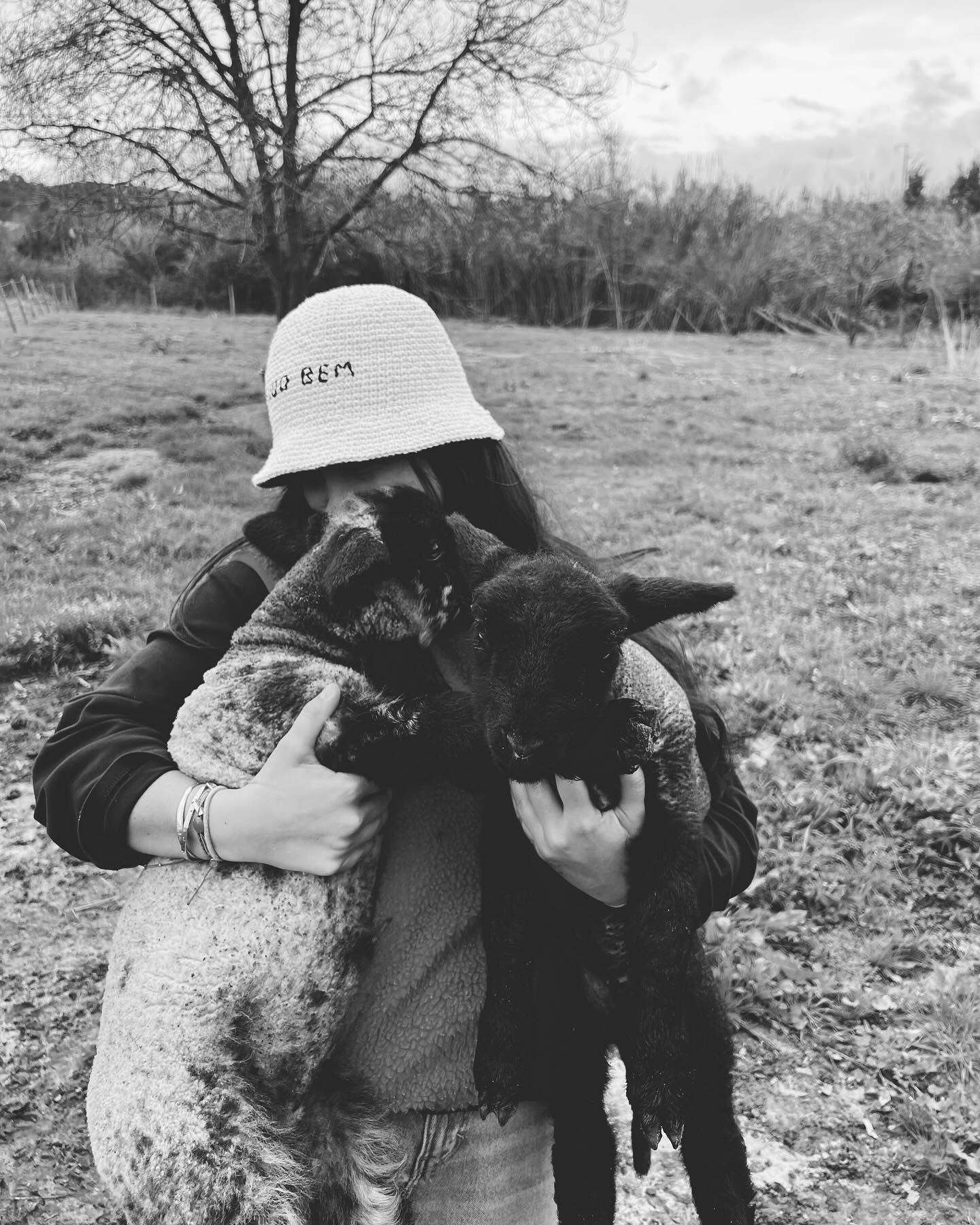 Our cute little babies
#casatudobem #farm #farmanimals #babyfarmanimals #tudobem #obidos #baleal #portugal #guesthousefarm #guestgouse #slowliving