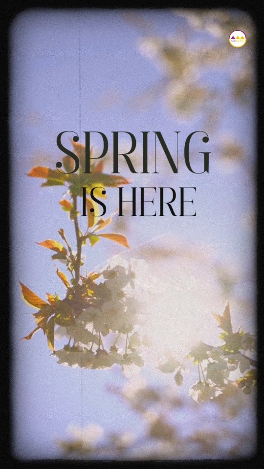 Spring’s anthem is here! 🌸
✨ Vibe to Basant by @jasleenmusic and let the melody of spring fill your soul. 🌿🎶💛
Basant Streaming NOW on all platforms via Asli Music (Link in Bio)
#Basant #SpringVibes #JasleenKaurMonga #NewMusic #FeelTheSpring #AsliMusic #shabadgurbani #spring #summer