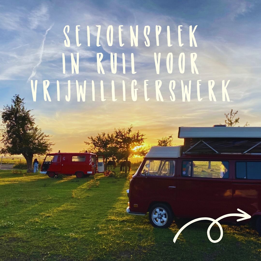 Heb jij een kampeermiddel en ben je op zoek naar een standplaats voor aankomend seizoen? En heb je tijd en zin om deeltijd te komen helpen op onze natuurboerderij?
Wij bieden een standplaats voor bepaalde tijd (in overleg) op onze minicamping op Huize Blokland. Er is water, elektriciteit, wifi, sanitair en een gemeenschappelijke keuken en ruimte om te chillen. Onze camping heeft een fijne knusse sfeer, mooi uitzicht, prachtige zonsondergang en er scharrelen kippen en lopen andere gezellige dieren rond.
Wij vragen van jou ongeveer 20 uur werk per week. Denk aan klusprojectjes, moestuinieren, onderhoud, opruimen, schoonmaken, en afhankelijk van je skills is er ook ruimte voor creatieve input.
Bij interesse: stuur een dm met een korte presentatie van je zelf, je kampeermiddel en je skills. Wie weet tot snel!
#vrijwilligerswerk #workaway #seizoensplek #natuurcamping #kamperenbijdeboer