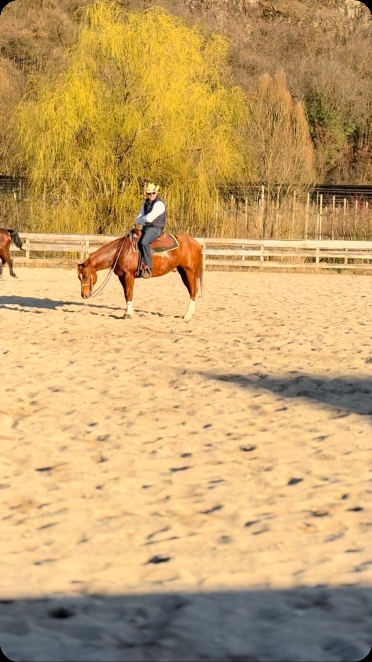 What a sunny day at @alpscoliseum with @arta.reining at the day clinic with @enrico976