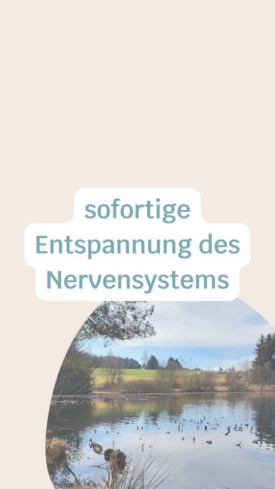 Diese Übung ist hervorragend geeignet, wenn du merkst, dass dein Nervensystem überlastet ist. Sie ist sehr simpel, unauffällig und daher überall anwendbar und du brauchst nichts dazu.
So geht's:
- Umschliesse eines deiner Handgelenke mit der anderen Hand.
- Übe ein wenig Druck aus (nicht zu viel!).
- Halte das Handgelenk mindestens eine Minute umschlossen.
- Atme tief ein und aus und spüre, wie dein Nervensystem sich entspannt.
- Mache dasselbe mit dem anderen Handgelenk, wenn du willst.
Speichere diese Übung ab, damit du im Stressmoment daran denkst.
Was sind deine Erfahrungen mit dieser Übung? Teile sie gerne in den Kommentaren👇🏻.
Für eine Begleitung oder ein kostenloses Beratungsgespräch kontaktiere mich gerne per DM oder schau im Linktree in der Bio nach.
Herzlich, Jacky 🦋
#hochsensibilität #hochsensibel #hochsensible #sensibel #hspcoach #hochsensitiv #hspcoaching #hochsensibelglücklich #feingesinnt #coaching #beratung #seelenweg #leichtigkeit #innereruhe #lebensfreude #energie #balance #erfolg #selbstbestimmung #selbstliebestärken #selbstreflexion #mentalegesundheit #psychologischeberatung #resilienz #ressourcen #achtsamkeitimalltag #selbstwahrnehmung #selbstfindung #überreizung #nervensystem
COACHING
BERATUNG
HOCHSENSIBILITÄT
EMOTIONSREGULATION
STRESSREGULATION
ABGRENZUNG
POTENTIAL
SELBSTVERTRAUEN
MINDSET