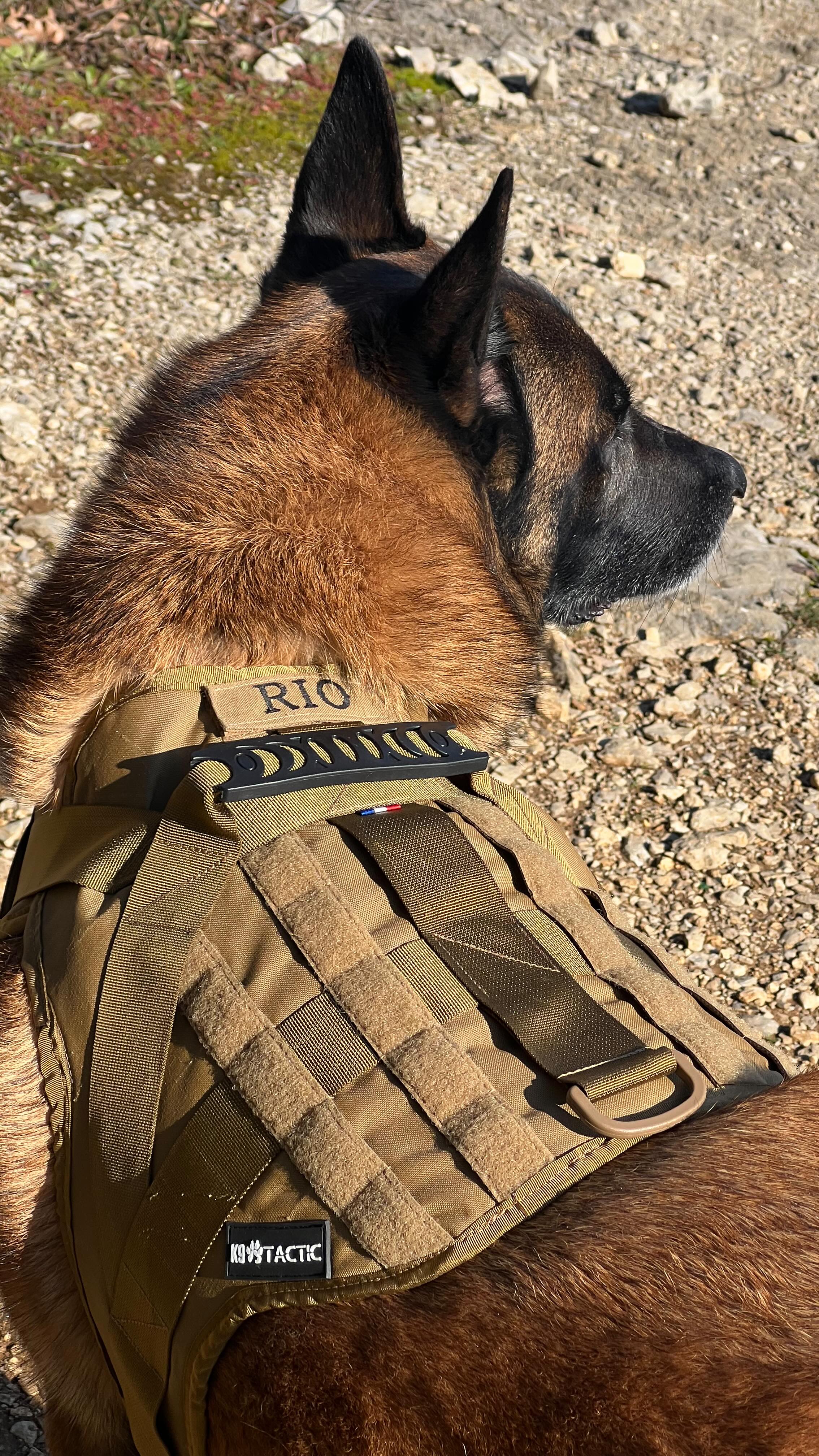 🇫🇷 Équipement K9 conçu pour les professionnels. 🇫🇷
Nos harnais, colliers et laisses sont développés pour les unités K9, forces de l’ordre, maîtres-chiens et professionnels du terrain. Matériaux de haute résistance, conception fonctionnelle et tests en conditions réelles : chaque détail est pensé pour la performance.
✅ Fiabilité & durabilité
✅ Adapté aux environnements exigeants
✅ Conçu pour les chiens de travail
✅ Fabriqué en France
#k9 #k9training #k9unit #militaire #k9dogs #doghandler #militaryk9