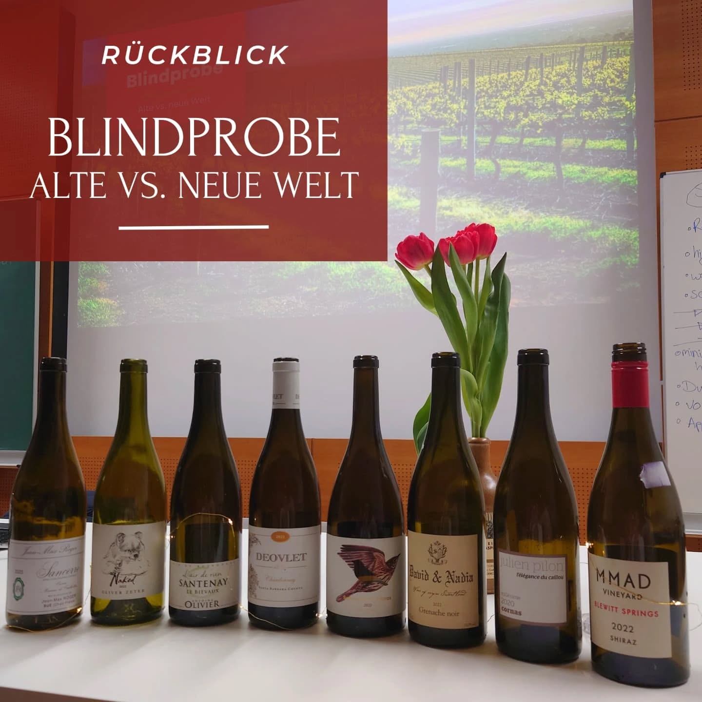 Am 6. März konnten wir unser erstes reguläres Event im Semester abhalten! 🍷
Nach einem Vortrag von Anabel Görtz mit spannenden Insights in die Bäckerei Görtz ging es direkt in unsere Blindprobe. In 4 Flights mit jeweils zwei Weinen, einer aus der alten- und einer aus der neuen Welt, haben wir teils überraschende Unterschiede entdeckt. Es konnten folgende Weine probiert werden:
Flight 1
- Jean Max Roger - Marne et Caillottes Sancerre 2023
- Oliver Zeter - Sauvignon Blanc Naked 2022
Flight 2
- Antoine Olivier - Santenay Le Bievaux 'l'air de rien' 2019
- Deovlet Chardonnay 2021
Flight 3
- Viña Zorzal - Senora de las Alturas Garnacha 2022
- David & Nadia - Grenache 2022
Flight 4
- Julien Pilon - Cornas l'Elegance du Caillou 2019
- MMAD Vineyard Shaw & Smith - Shiraz 2022
Wir danken ganz herzlich für diesen ausgesprochen schönen Abend!
Cheers, euer vinUM-Team🍷
#vinUM #mannheim #unimannheim #wein #weinprobe #blindprobe #weinliebhaber