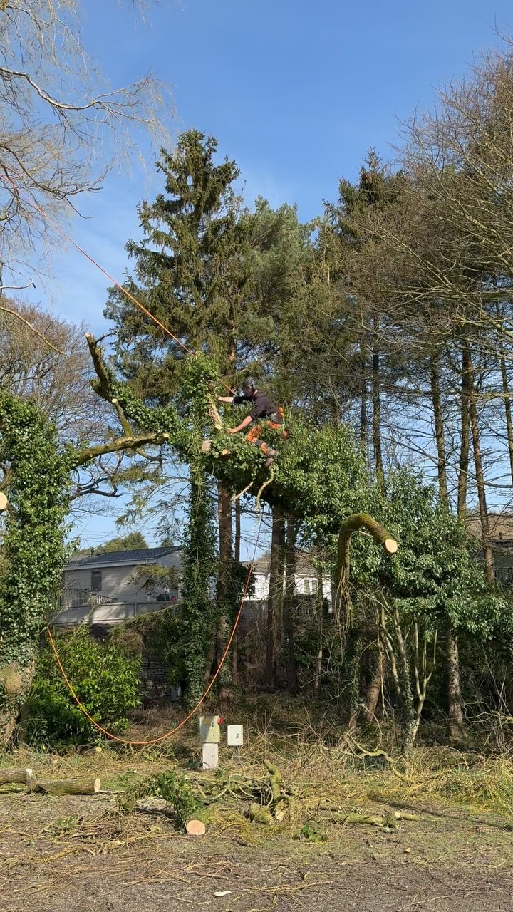 Not only did we spend last weekend enjoying the glorious sunshine!☀️ We had a very important tree maintenance day on site!🌳
Due to our large woodland area we regularly check our site for dangerous trees and make sure to remove any trees causing a potential danger.
#tree #treefelling #treesurgeon #woodland #caravanpark #campsite #leeds #sunshine