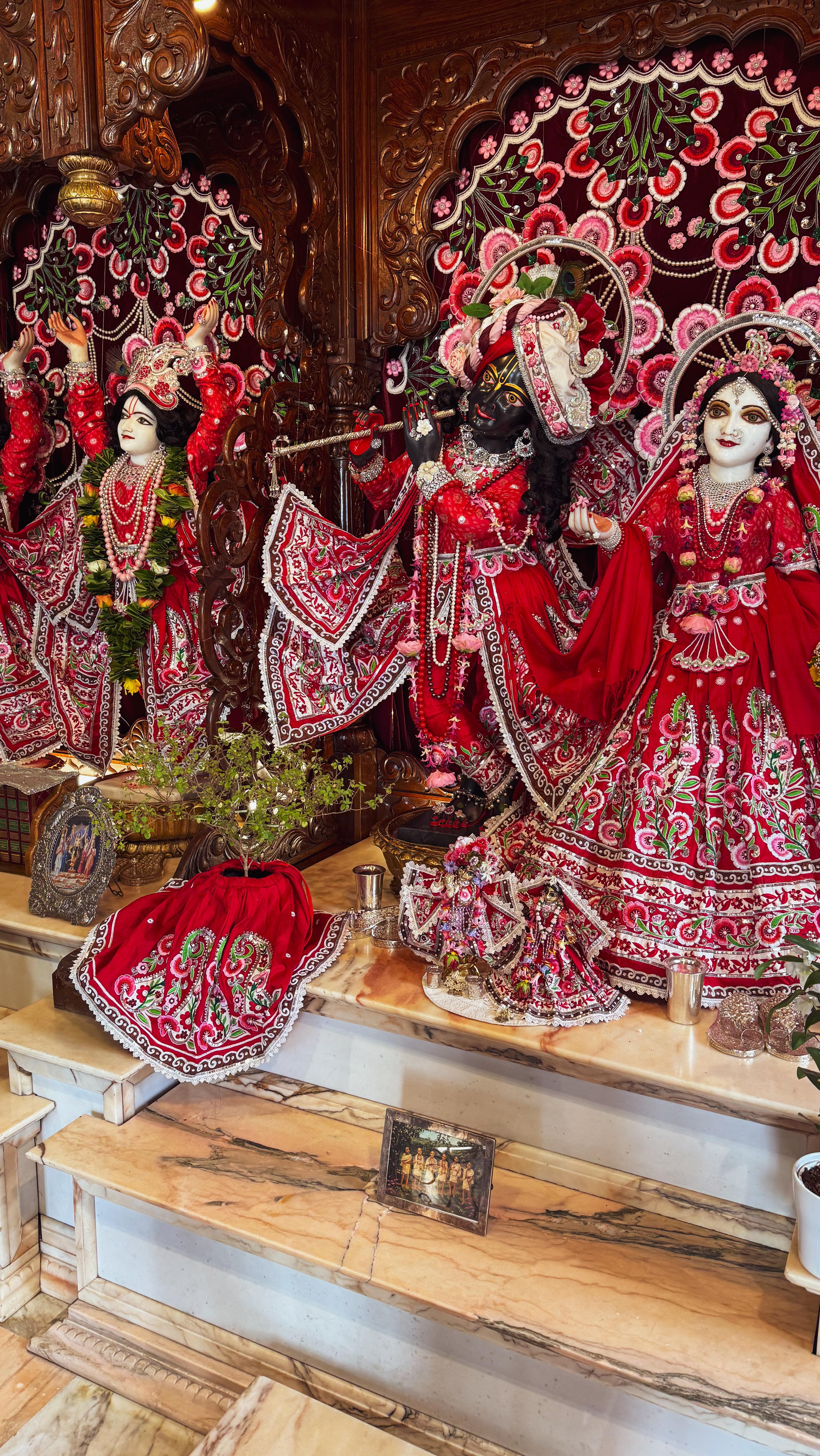 A sweet little Kirtan Jam with friends 🫶✨
It’s been such a pleasure to be here alongside other musicians and creative and spiritual beings, grateful for this last sweet Kirtan we shared, hariboool 🌞🤎
Thank you to @gentledirtbag & Martin 🥰✨
#kirtan #ceremonialist #chantandbehappy #medicinewoman #soundbath #mayudelavida #cacaoceremony #voiceopening #soundhealing #enjoylife #ixcacao