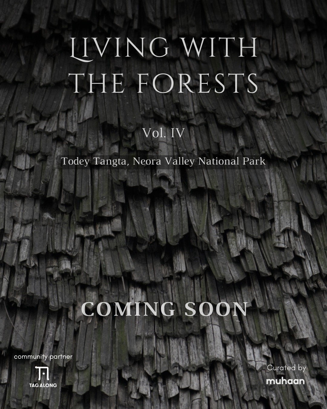 The much-awaited 4th edition of Living with the Forests is here! This year, we’re heading to Todey-Tangta, nestled on the fringes of Neora Valley National Park, along the Indo-Bhutan border.
Get ready for an immersive journey into the wisdom, traditions, and landscapes of forest communities. Dates and details coming soon—stay tuned! #LivingWithTheForests #CommunityConservation #NeoraValley #TodeyTangta