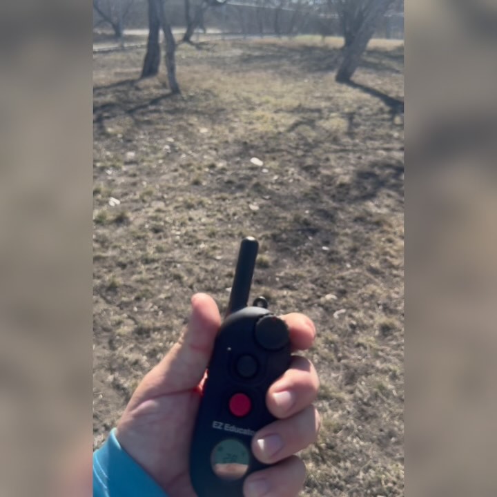 🚨 Warning: long / controversial post! 🚨
Let me start with this: “Slapping an e-collar on your dog isn’t a magical solution to all of your training or behavioral problems.”
E-collars, prong collars, slip leads, choke chains, gentle leads—even certain training harnesses—all share a common purpose: they introduce some level of discomfort to guide a dog’s behavior. That’s not abuse—that’s how learning happens. Discomfort is a catalyst for change, just like in human learning. If we never correct a dog and simply hope they choose the right behavior, we’re essentially leaving their success to chance.
But let’s be clear: accountability only works if the dog understands the expectation. If they don’t, corrections mean nothing and can induce fear/anxiety in dogs who aren’t confident with their skills. Reinforcement alone isn’t enough—because what happens when something more interesting than your treat appears?
Balanced training provides structure, clarity, and reliability—especially off-leash. Can you build obedience solely through positive reinforcement? Sure, to a degree. But will it hold up when your dog is faced with real-world distractions, temptations, and risks? That’s the question.
To those who disagree, that’s fine—balanced training isn’t for you. But if you want a reliable, well-rounded dog who understands both motivation and accountability, there’s no denying that balanced training delivers the most consistent and lasting results.