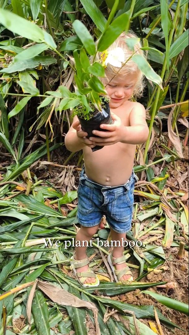 Bamboo is a mysterious plant. It has completely transformed our lives. Being part of the full life cycle of bamboo is wild, from planting the little cuttings in the soil to playing in the building we've built from the fully grown grass.
.
In this lifestyle of creating with bamboo, we have certainly come across challenges, and each time we grow stronger and more flexible, just like bamboo teaches us to do.
.
Feeling deep gratitude for all that this journey brings... for the learnings and experiences... for the people we have the fortune to meet... and the spaces we have the delight to co-create.
.
In gratitude for what is, and in excitement for all that is to come.
.
#bambooarchitecture #bamboolifestyle #ecobuilding #planting #harvesting #designing #creating #building #architects #spiritualjourney