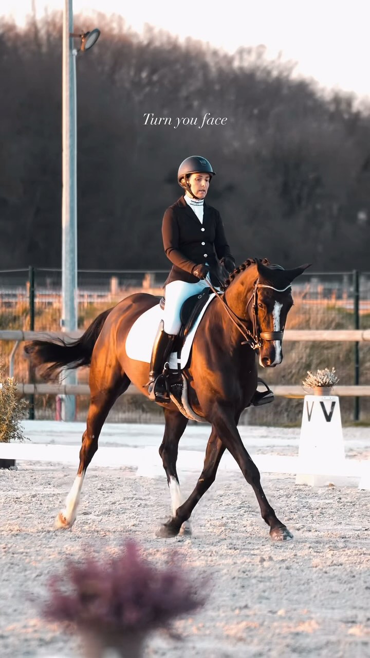 Quand le timing de ta reprise s’aligne parfaitement avec le sunset 🌅
#dressage #horse #horsedressage #horsevideo #sony #horsesofinstagram #sunsetlovers