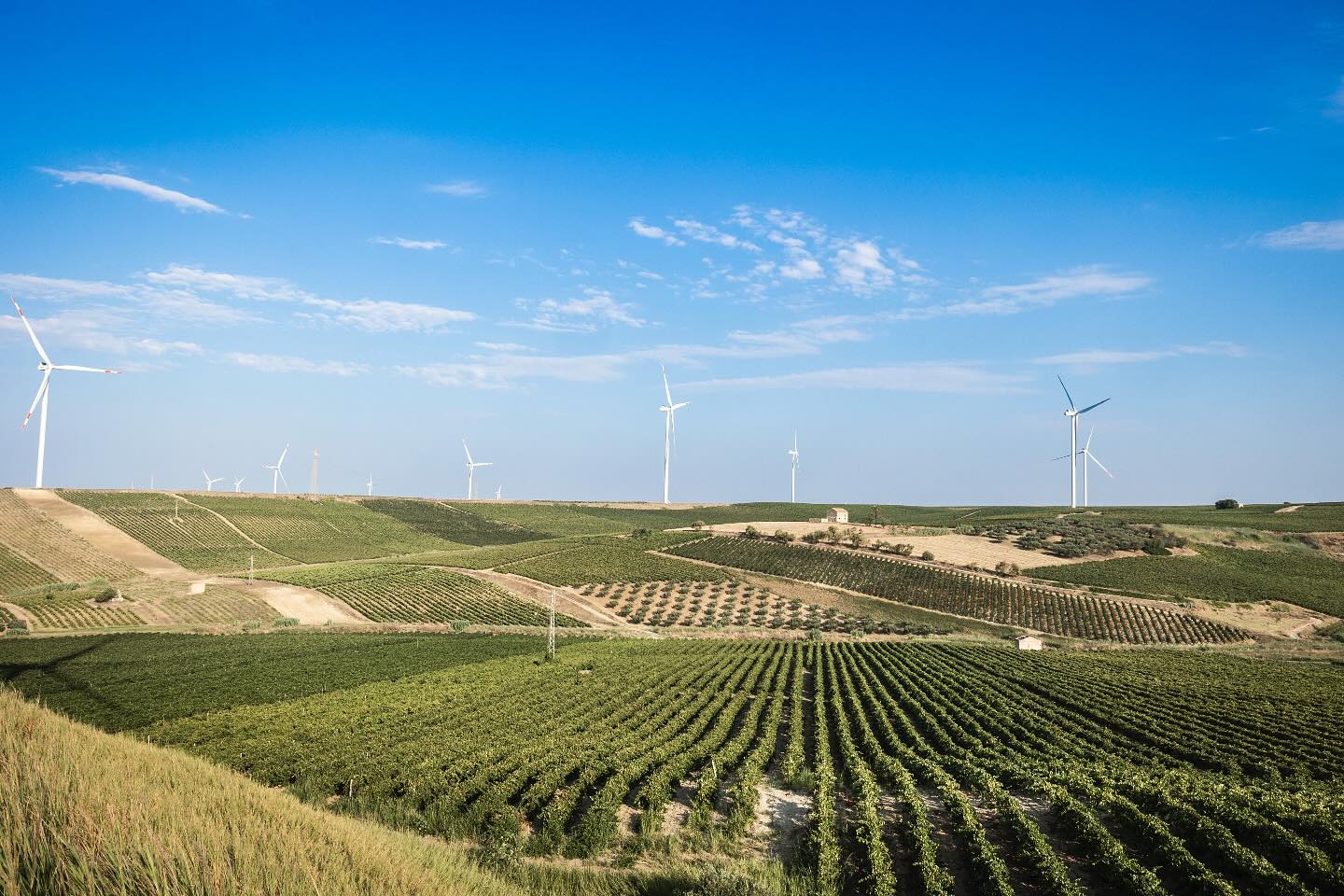 Tuesday 18th March
@carusoeminini Wine list takeover @sohailarestaurant
#sustainablewine #sicilianwine