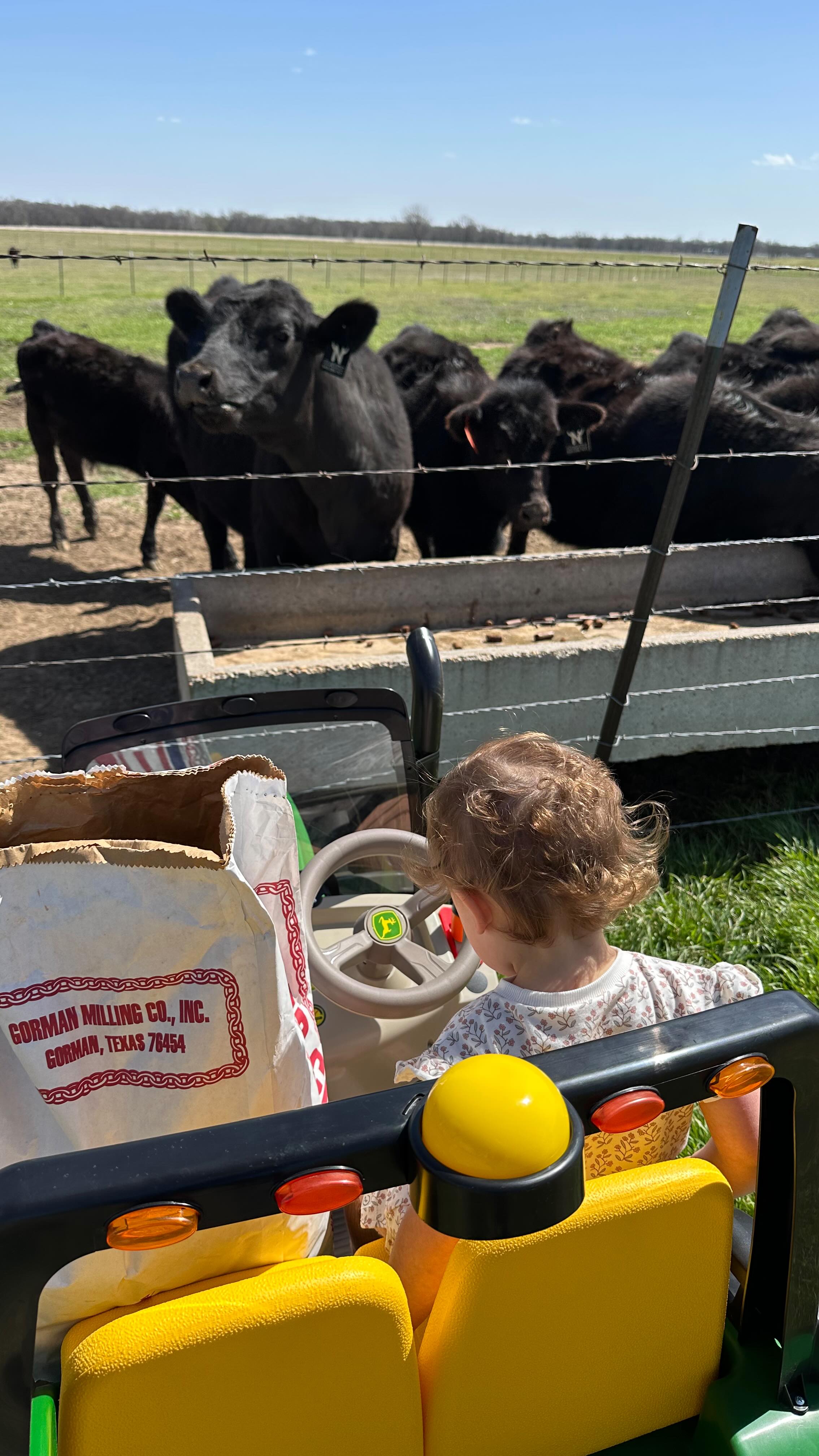 The best helper 😇