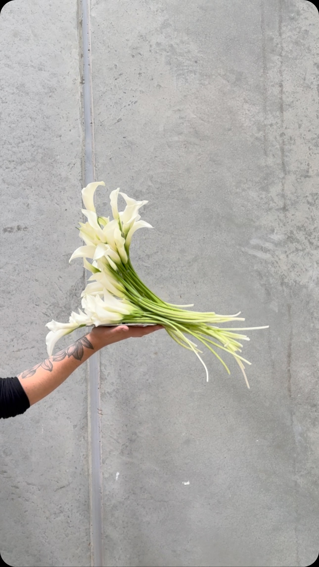 DINNER IS SERVED 💅