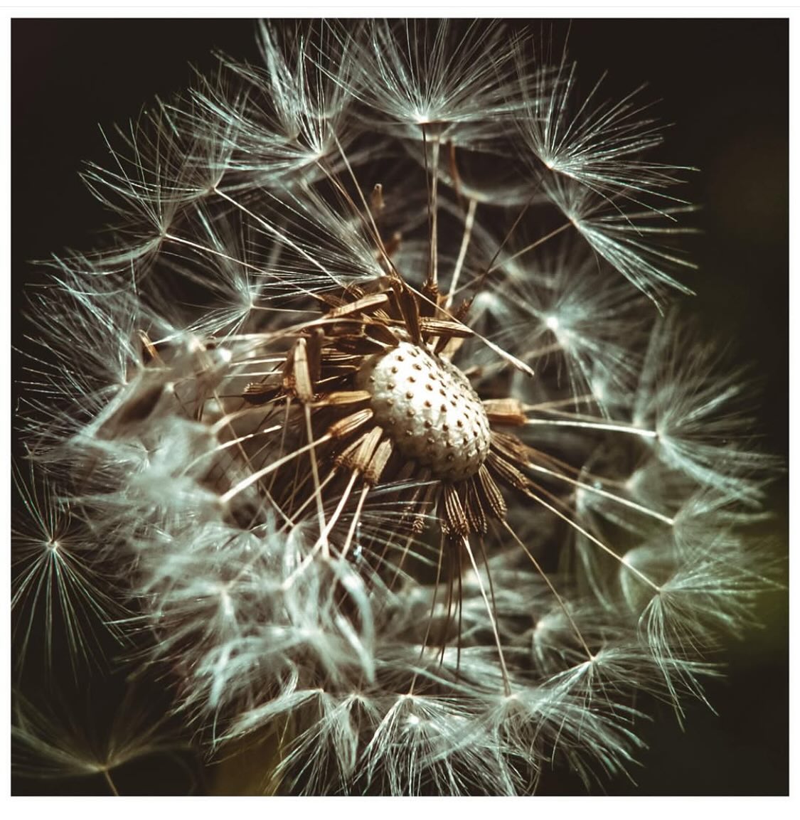 CIRCLE MEMBERS WORKSHOP ⚪️
Find Inspiration In The Unexpected
Join photographer @jameswarmanphotos for an exclusive Circle Members workshop designed to spark fresh creativity. Using mindfulness, observation, and haiku writing, this interactive session will help you discover inspiration in unexpected places and overcome creative blocks.
⭕️Saturday, 29th March
⭕️10 AM – 12 PM
⭕️ £12.50
⭕️ Limited to 15 places
This event is for Circle Members only, but if you’d like to join The Circle, check the link in our bio.
#CreativeWorkshop #ArtistInspiration #MindfulCreativity #PhotographyWorkshop #HaikuWriting #ArtisticPractice #TheCircle #CreativeCommunity
📷 @jameswarmanphotos