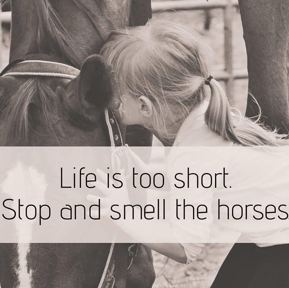 Exciting Update!
Our new sessions for Horsemanship & Friendship and 8 Dimensions of Wellness for Middle School Girls will be kicking off NEXT week instead of this week! That just gives us a little extra time to get ready—and we can’t wait to get started!
If you’re signed up, make sure to get your paperwork in so you’re all set to join us. If you have any questions, reach out!
See you soon at #HosannaHorseHaven! 🐴💛