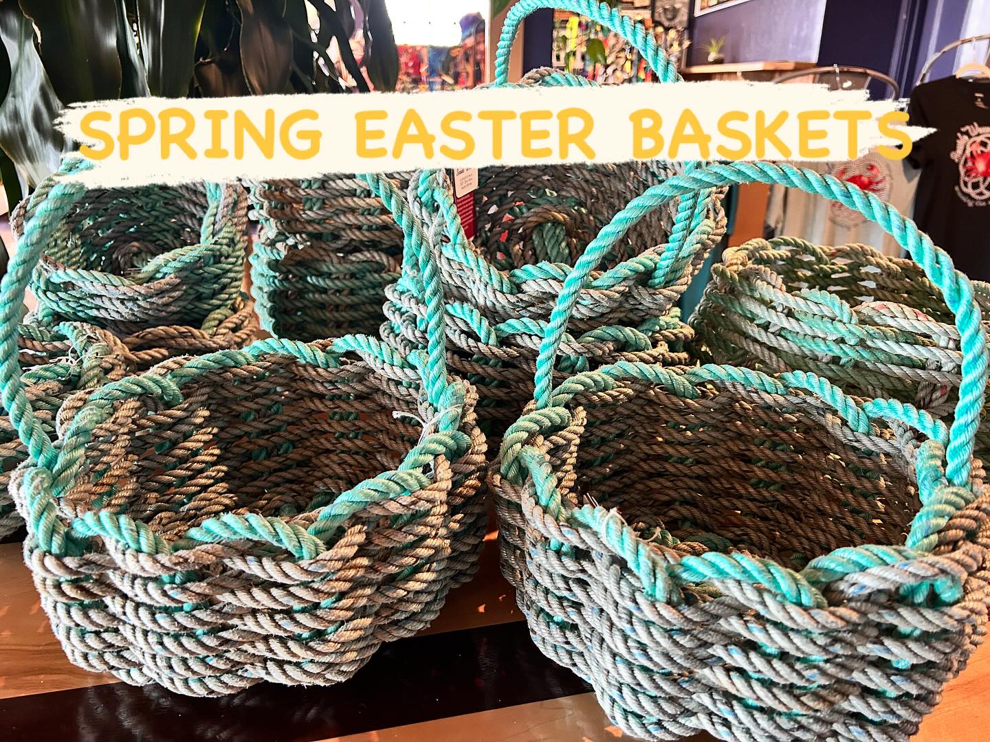 It’s St. Paw-Tricks Day at 6Rivers Brewery today March 15 from 12-4. Come on over.
$1 per pint will be donated to Friends for Life Emergency Medical Fund & Redwood Pals
Rescue
Adoptable Dogs from Redwood Pals Rescue will be here to pawtay!
Augie the Therapy Dog will be signing his new book featuring 6R, A Dogs Tails of Friendship
10% off if you bring your dog in a costume
Raffle to Benefit Redwood Pals & Friends for Life
Local Craft Vendors