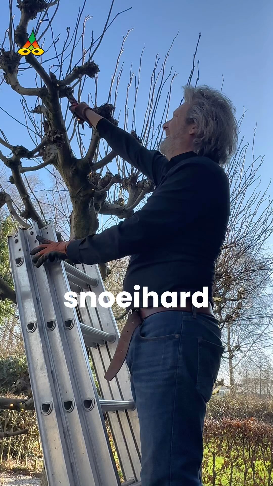 - Snoeihard
De kaarten geschud.
De posities ingenomen.
De kleuren bekend....
Volg het @poeziejournaal - dichterlijke reportages met rechte rug en open hart.
✍️ Maurice Jonkers & 🎥 Hilma ten Boske
Wil jij ook een gedicht of optreden?
Stuur een DM of kijk via de link in bio.
#snoeien #tuinieren #cuttingcrew #diedinyourarmstonight en #liefde voor #muziek #poezie #poëzie