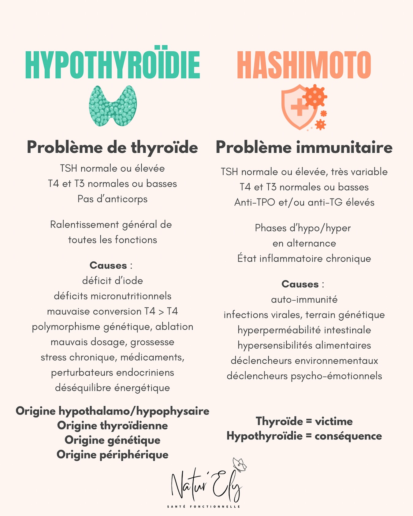 🔍 Hypothyroïdie VS Hashimoto : quelles différences ?
Souvent les mêmes symptômes, mais des causes très différentes, et des prises en charges à adapter !
➡️ L’hypothyroïdie, c’est un état : la thyroïde fonctionne au ralenti, produisant trop peu d’hormones.
➡️ Hashimoto, c’est une cause : une maladie auto-immune où le système immunitaire attaque la thyroïde, entraînant souvent… une hypothyroïdie !
Si on ne cherche pas les anticorps, on passe à côté de la cause !
⚠️ Adapter la prise en charge est essentiel pour retrouver un vrai équilibre.
Commente PLAN pour recevoir ton plan offert Anti-fatigue spécial Hashimoto : 5 jours pour retrouver ton énergie ! 🔋⚡️
——————————
🦋 Première fois ici ?
Moi, c’est Élise, naturopathe spécialisée dans les troubles de la thyroïde, sans thyroïde depuis mon cancer en 2016🎗️
J’aide les femmes à retrouver leur énergie et se sentir bien dans leur corps. 💙
👉 Déjà aidé des dizaines de femmes. Pourquoi pas toi ?
Check ma bio ! (Ressources gratuites et prise de RDV)
#hypothyroidie #hashimoto #thyroide #maladieautoimmune #fatiguechronique #santenaturelle #bienetrenaturel #naturopathie #santéholistique #hormones #santefeminine #nutrition #microbiote #alimentationantiinflammatoire #vivremieux #energiepositive
