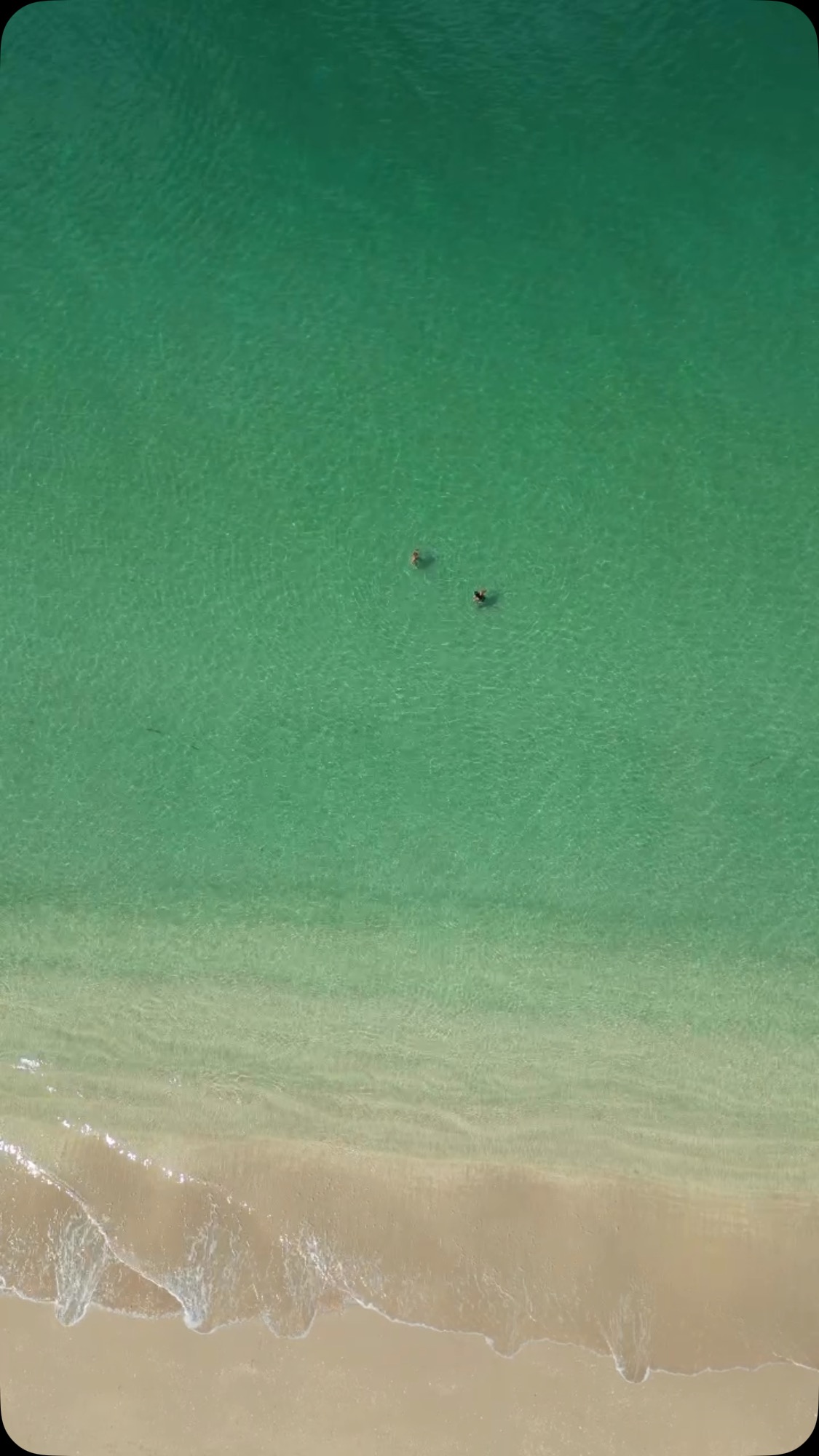 This is what love in paradise looks like🌴
⬇️Book your room directly with us at our best available rates - link in bio
#longbeachchalet #kohlanta #thailand #krabi #eatbeachsleeprepeat #vacation #paradise #livetoexplore #travelthailand #beachvibes #palmtrees #islandvibes #summer #poolday #swimmingpool #pooltime #chill #gardenchalet #chalet #thaistyle #tropicalgarden #bathtub #luxury #beachfront #villa #hotel #luxurytravel