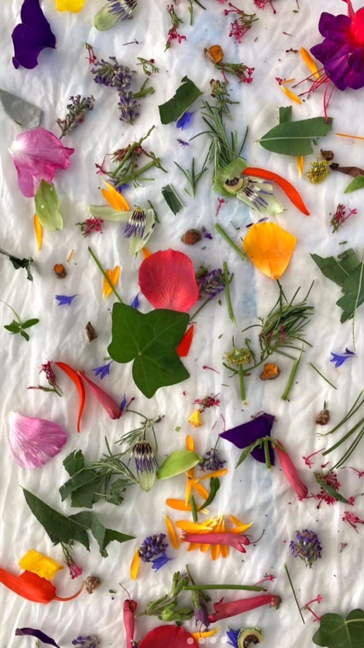Bundle dyeing using natural dyes and plant materials this Saturday 22 March with @deborahmanson
*** 1 spot left ****
learn how to transfer colour and shape from seasonal and dried plants onto cloth. Follow the link to our website to book ✨
#naturaldye #botanicalcolour #seasonalcolour #spring #plantmagic #bundledyeing