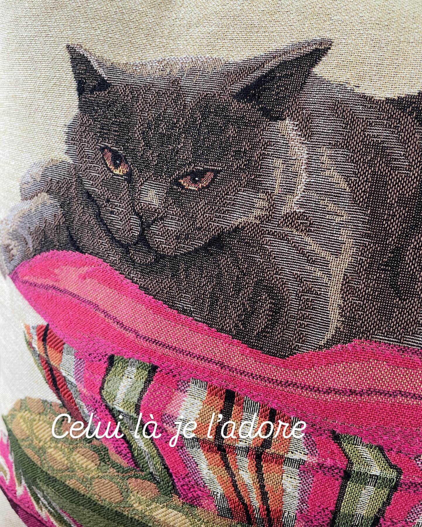#coussin #chat #nonchalance #cat #cats #cushion #decoration #clindœil #detente