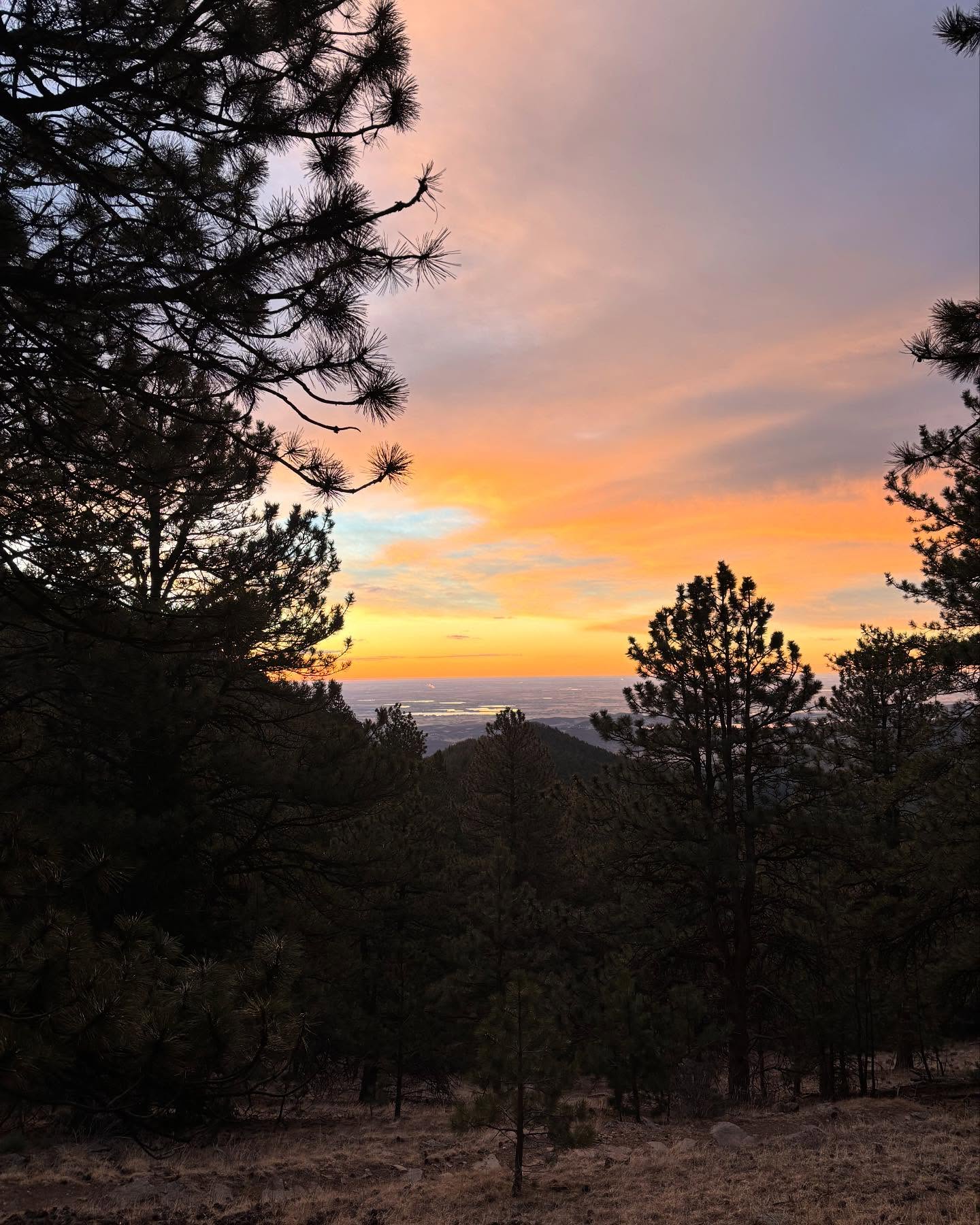 We might have been early birds today but boy was it worth it! Got a stunning sunrise and even saw Denver from the summit!
Trail: Sheep Mountain Trail
Time: 4 hours (1:32 to peak)
Distance: 9 miles (14.48km)
#sunrise #rockymountains #trail #hiking #climbershaul #colorado #earlybird #nature #smallbusiness