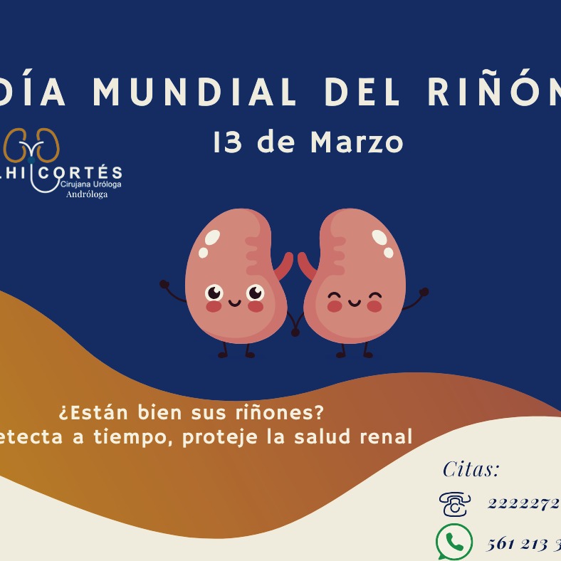 ¿Sabías que el deterioro de la función renal, puede causar alteraciones en múltiples órganos ?
Para más información agenda tu cita 👇
📞 Teléfono: 222 227 2713
✅ WhatsApp: 561 213 3757
Dirección:
📍 Periférico Ecológico 3507, int. 1229, Col. Emiliano Zapata, San Andrés Cholula
Horarios:
🕗Martes y jueves de 16:00 a 20:00 hrs
🕗Sábados de 10:00 a 14:00 hrs
👩⚕️ Dra. Delhi Cortés
Médico general, C.P. 09137489
Especialidad en urología, C.P. 12342044
Alta especialidad en Andrología
Certificación del consejo Mexicano de Urología, 1787
Aviso funcionamiento: 2421055056X00108
Aviso Publicidad: 2421052002A00087
#urología #urologo #médicourologo #urologa #urologocholula #urologacholula #médicocholula #urologoTlaxcala #Puebla #Tlaxcala #Cholula #Xalapa #Andrologo #infertilidad #disfuncionerectil