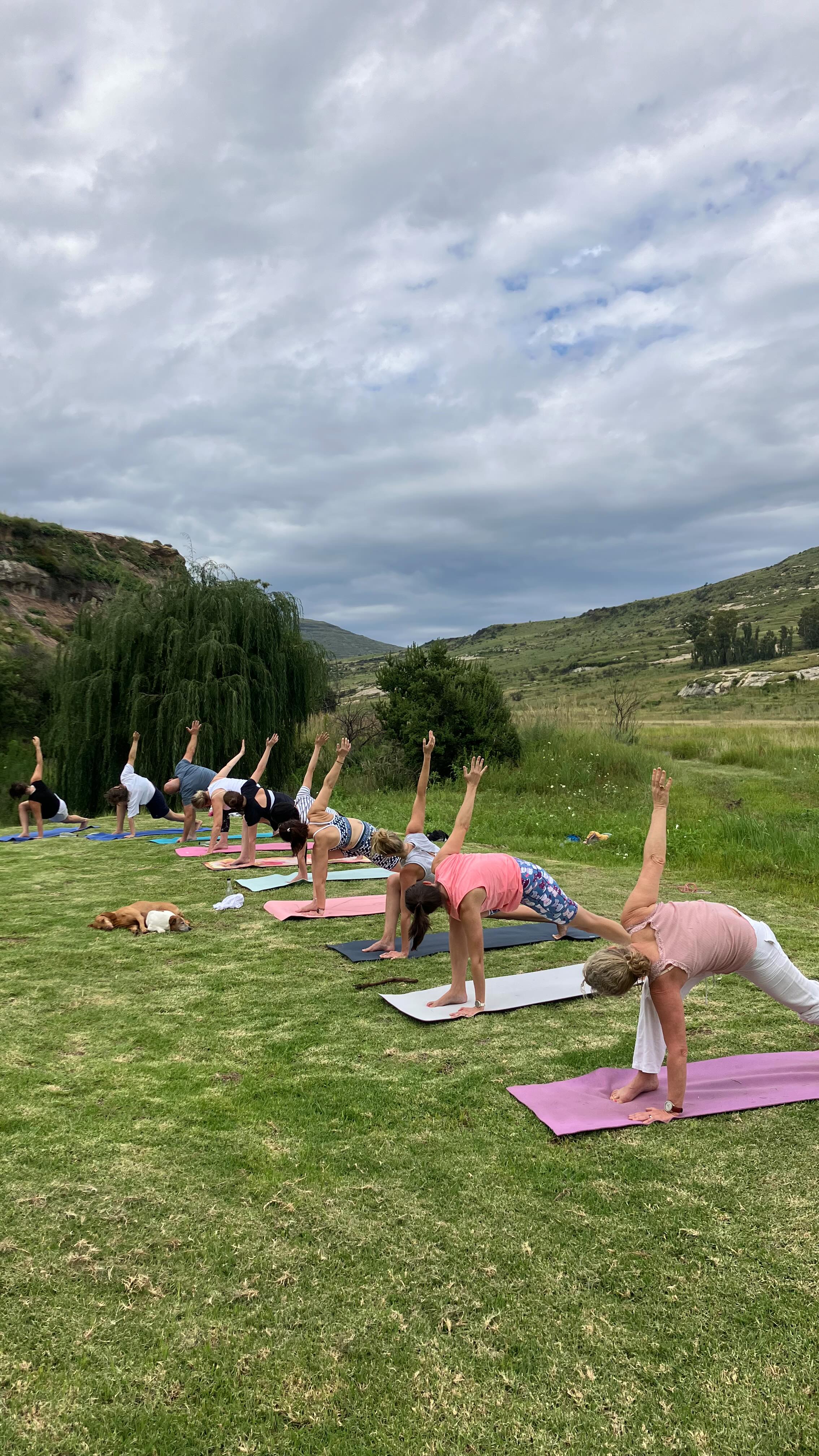 The most magnificent weekend retreat in the mountains at @letsatsi_ml, these snippets say it all. Thank you to this amazing group for making it so special. I can’t wait to be back for our next retreat in October. For more info email caitlin@inbalance.net.za