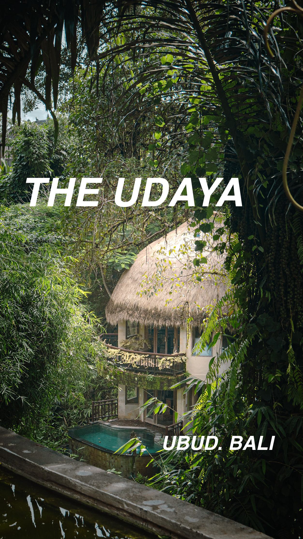 Architecturally and experientially breathtaking. I recently came back from a trip to Bali with my wife and stayed at @theudaya . The connection to nature, the details, and the experience throughout the entire journey from the reception to the front steps of our hotel room was an amazing immersive sensorial experience. The use of natural materials and non rectilinear forms with a mix of traditional building methods, created a sense of unity with nature, blending in the built environment with the natural. Honestly the best hotel experience I’ve had.
.
#travel #bali #theudaya #hotel #baliholiday #architecture #nature #indonesia #exploreindonesia #balitravel #buildings #bamboo #bambooarchitecture #architecture_hunter #architecturephotography #photography #archdaily #architecturegram #baliculture #balilife #wheninbali #resort #baliresort